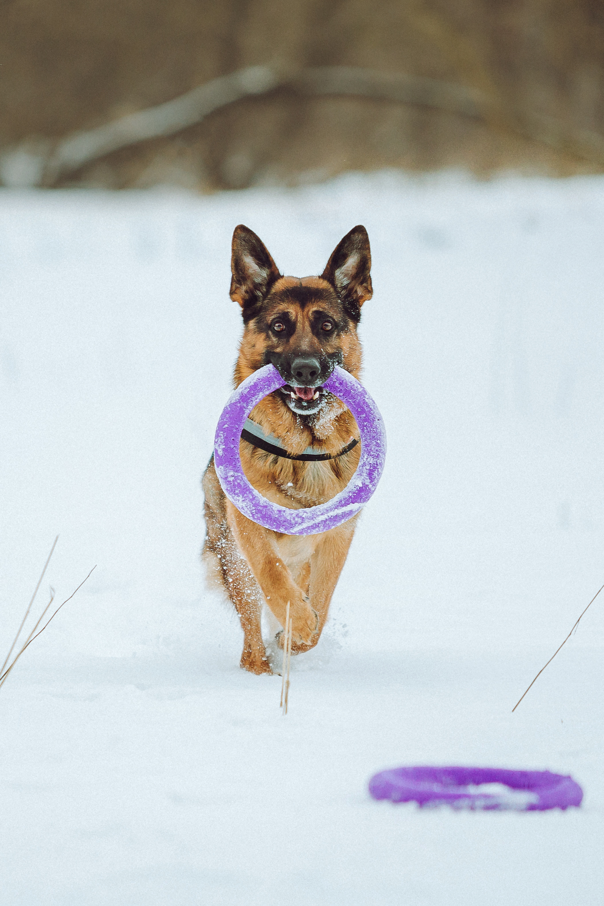 Джим, Лила и их семья