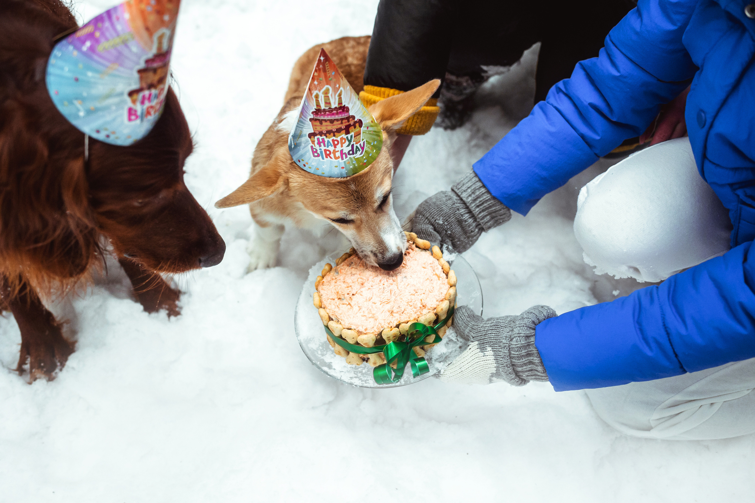 День Рождения Джерри