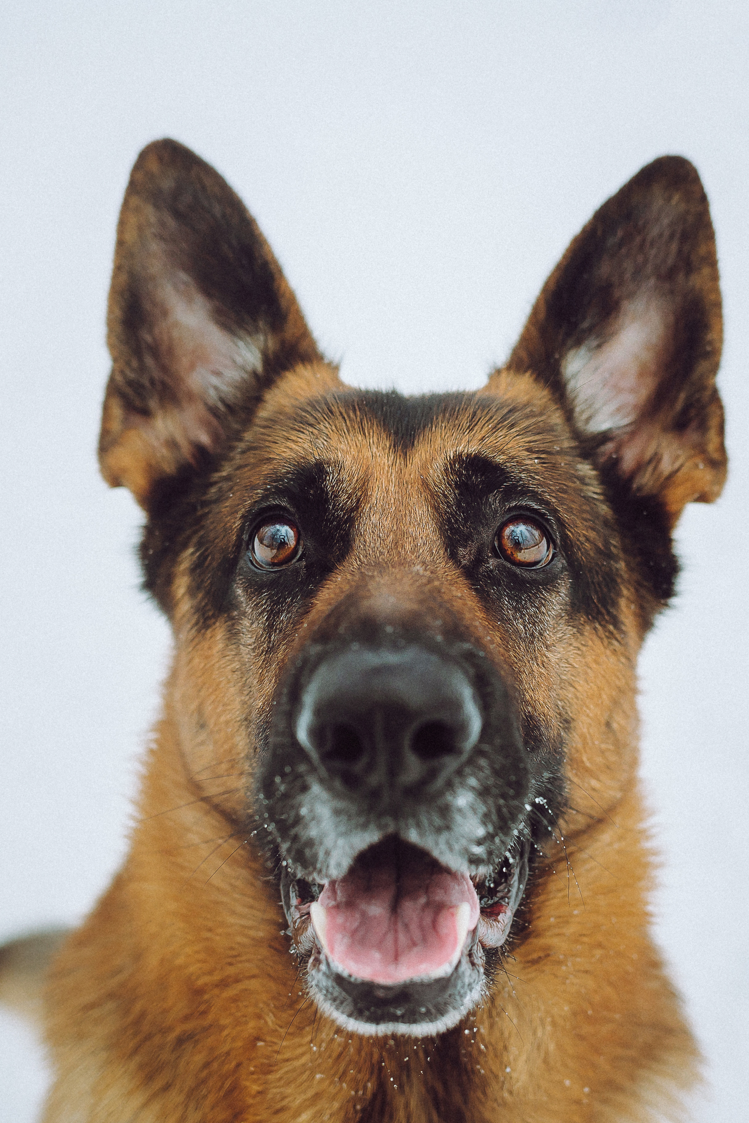 Джим, Лила и их семья