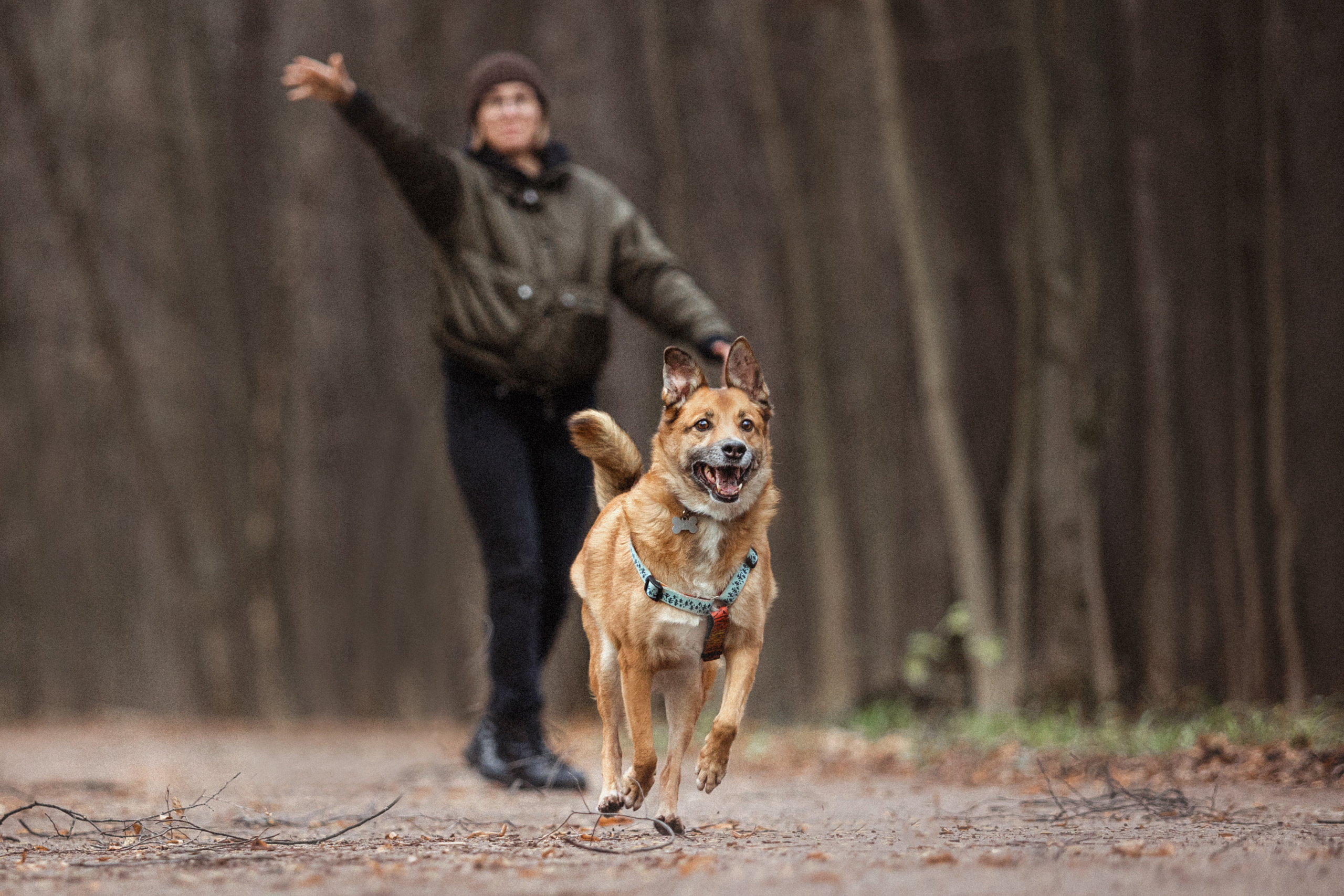 Лика и ее семья