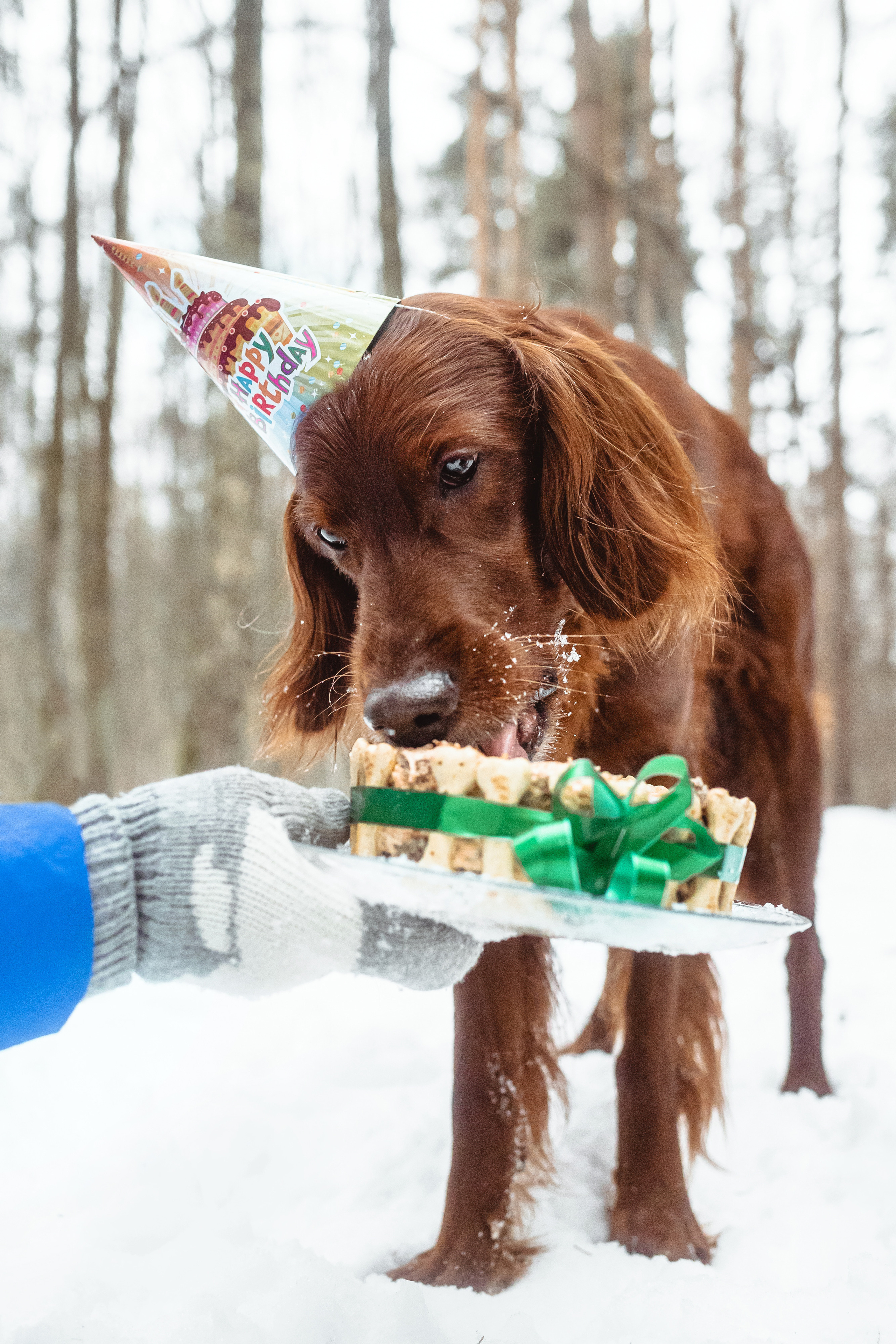 День Рождения Джерри