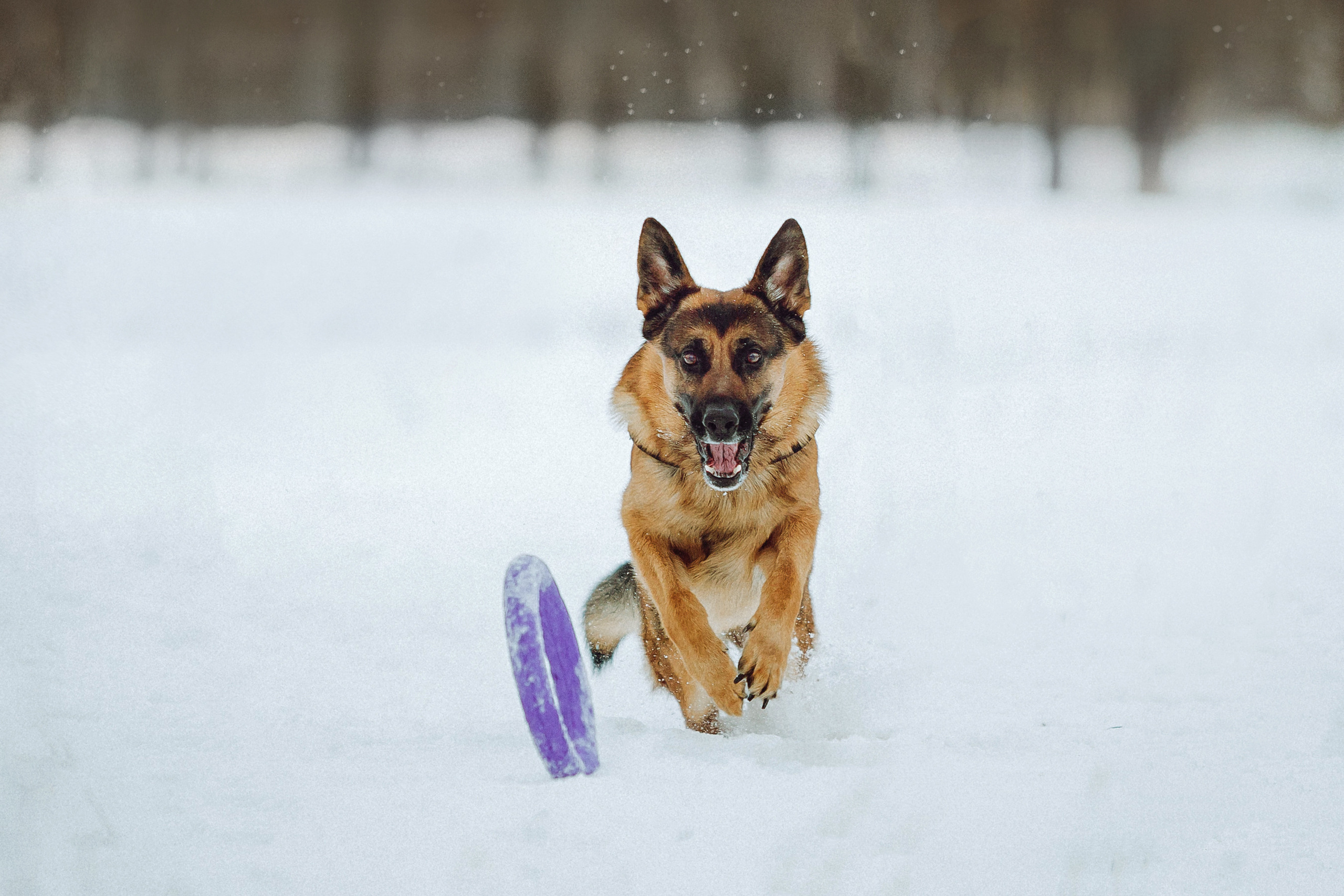 Джим, Лила и их семья