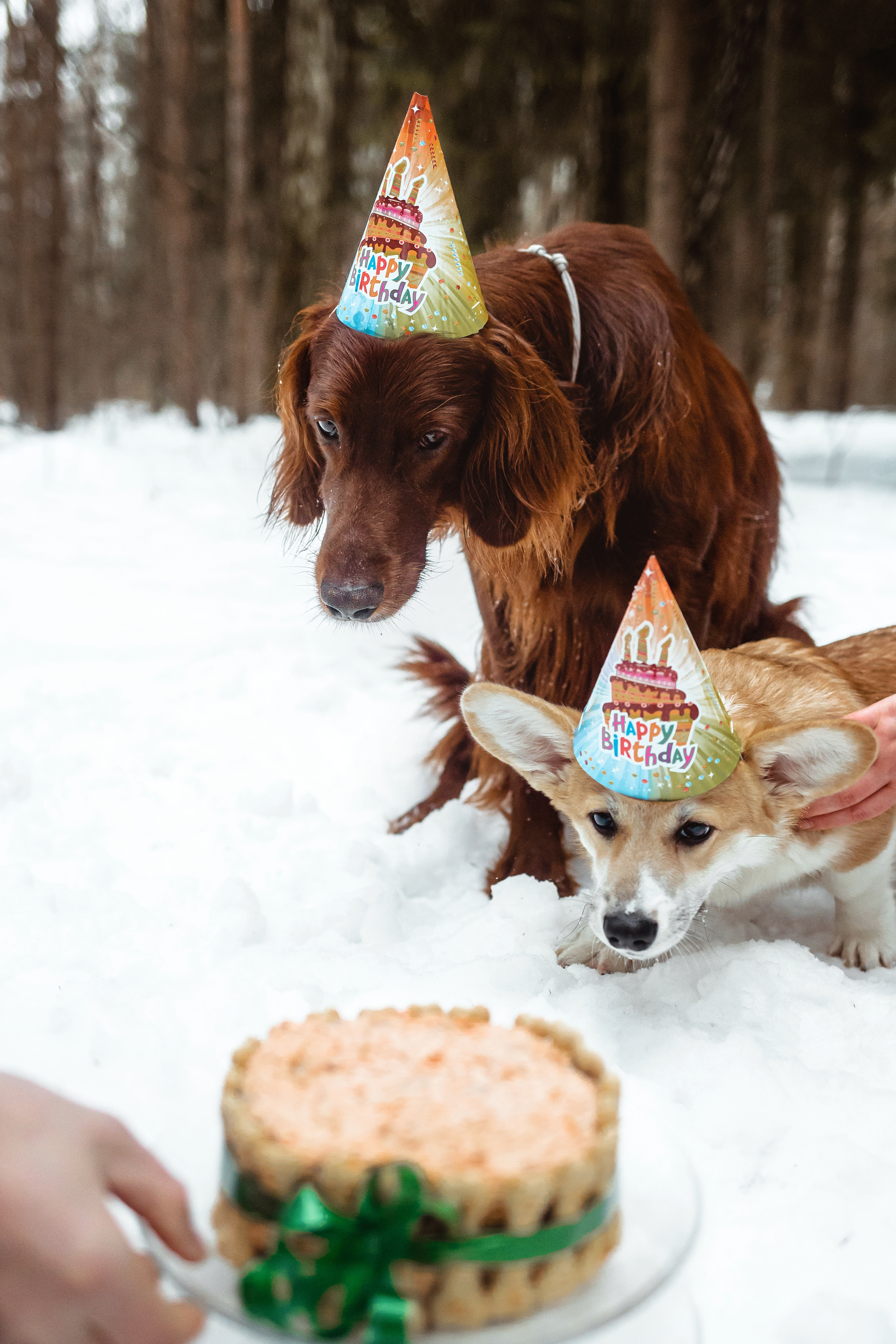 День Рождения Джерри