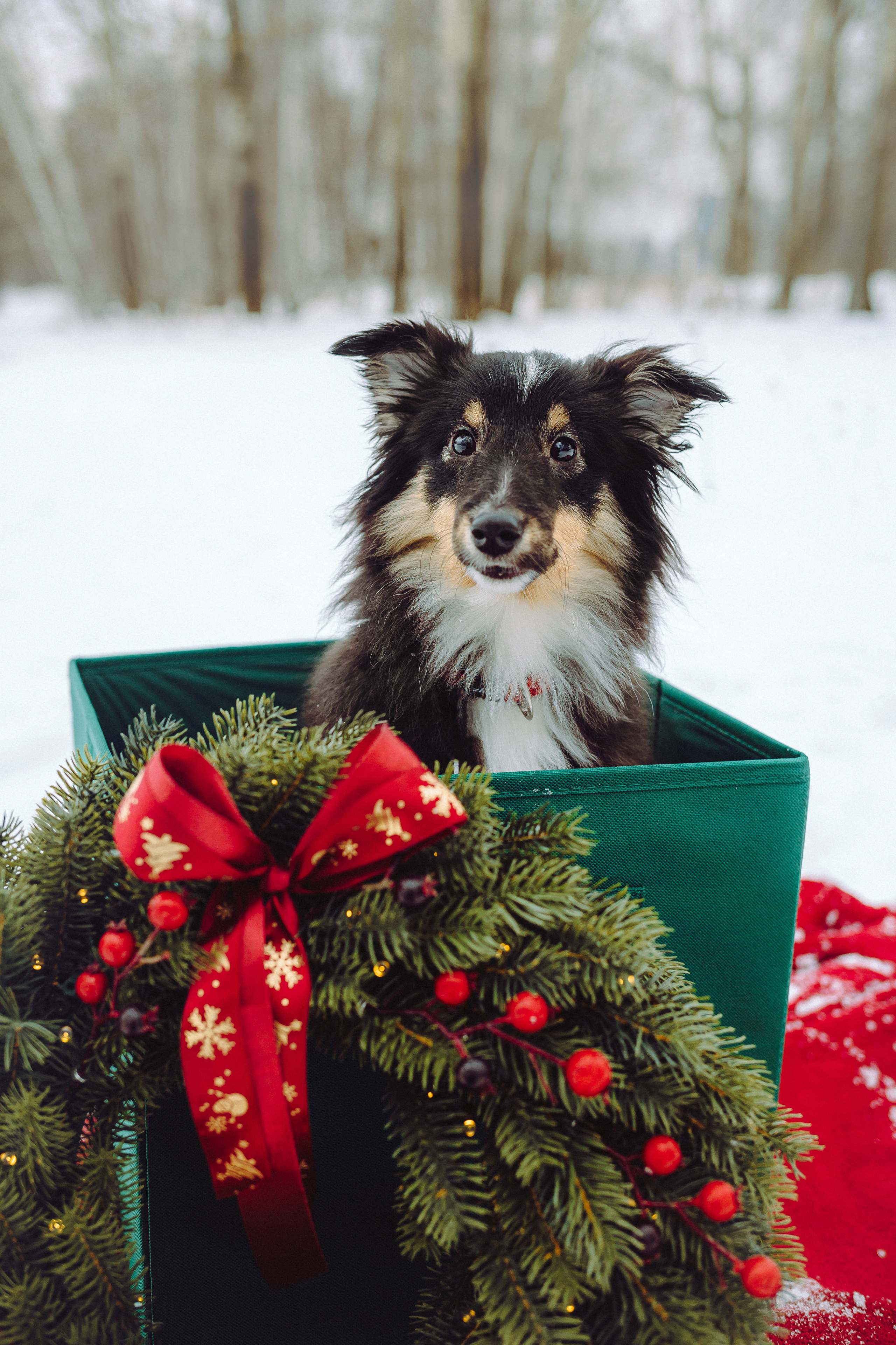 Джим, Лила и их семья