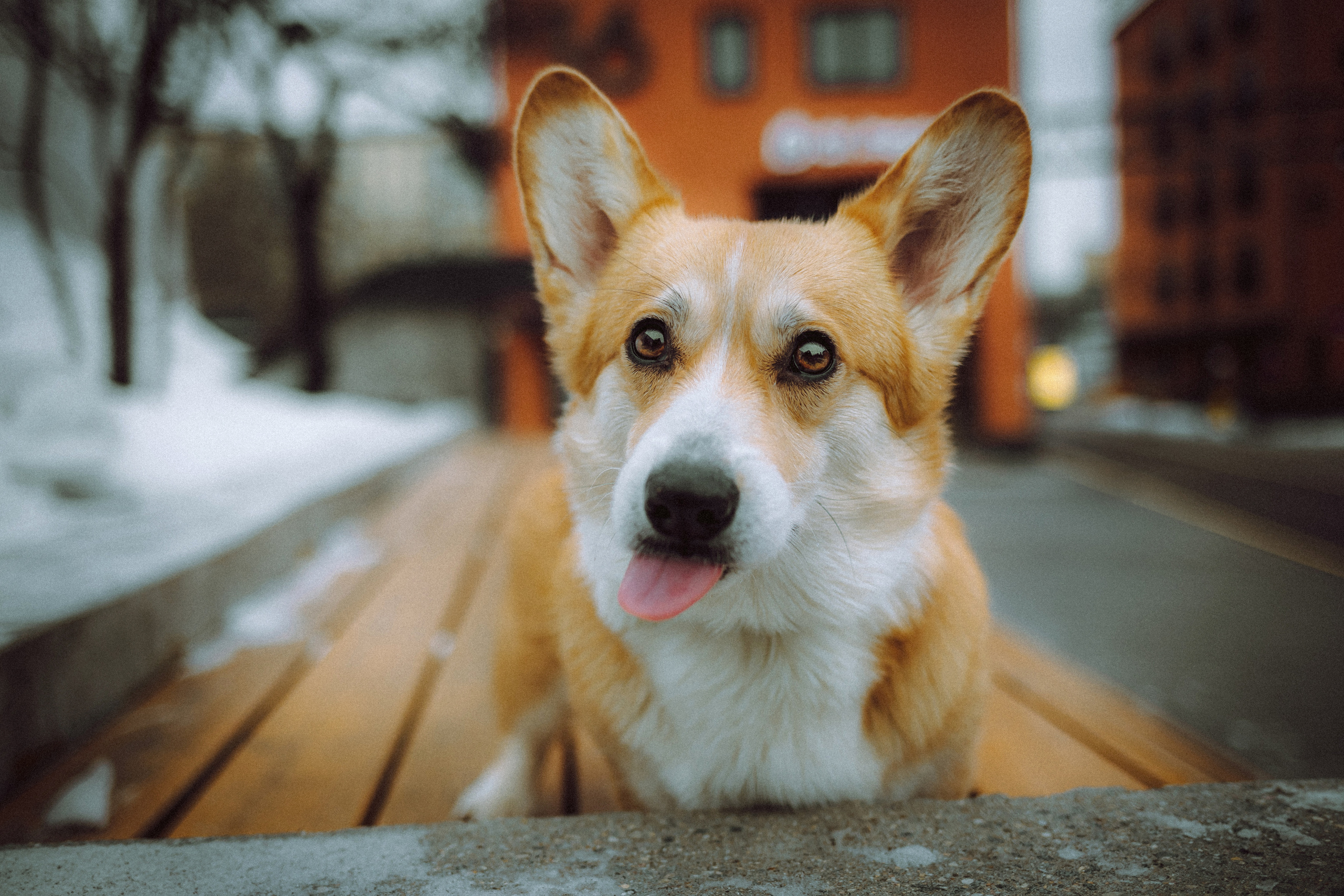 Настя и Ева