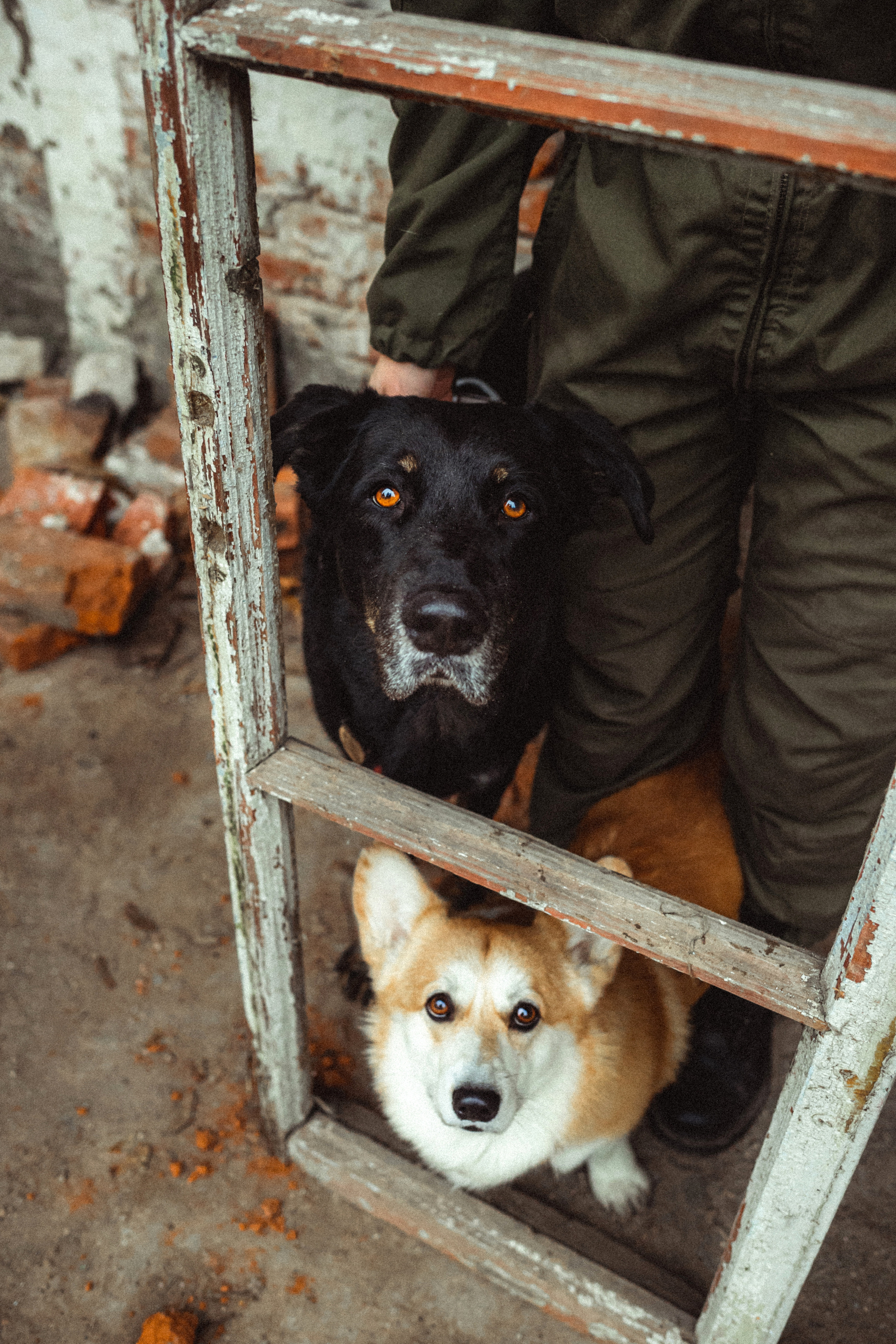 Алена, Фелек и Камю