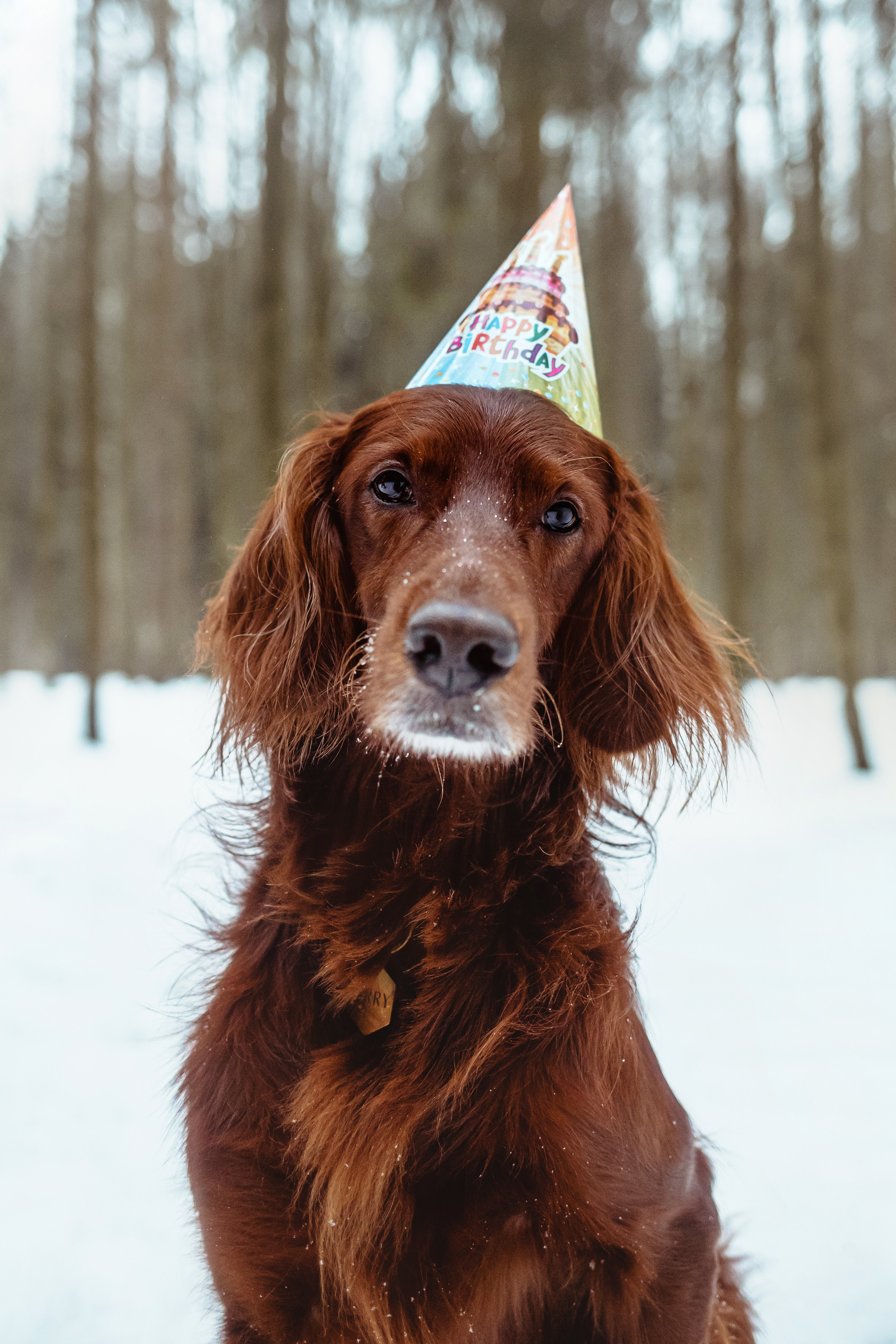 День Рождения Джерри