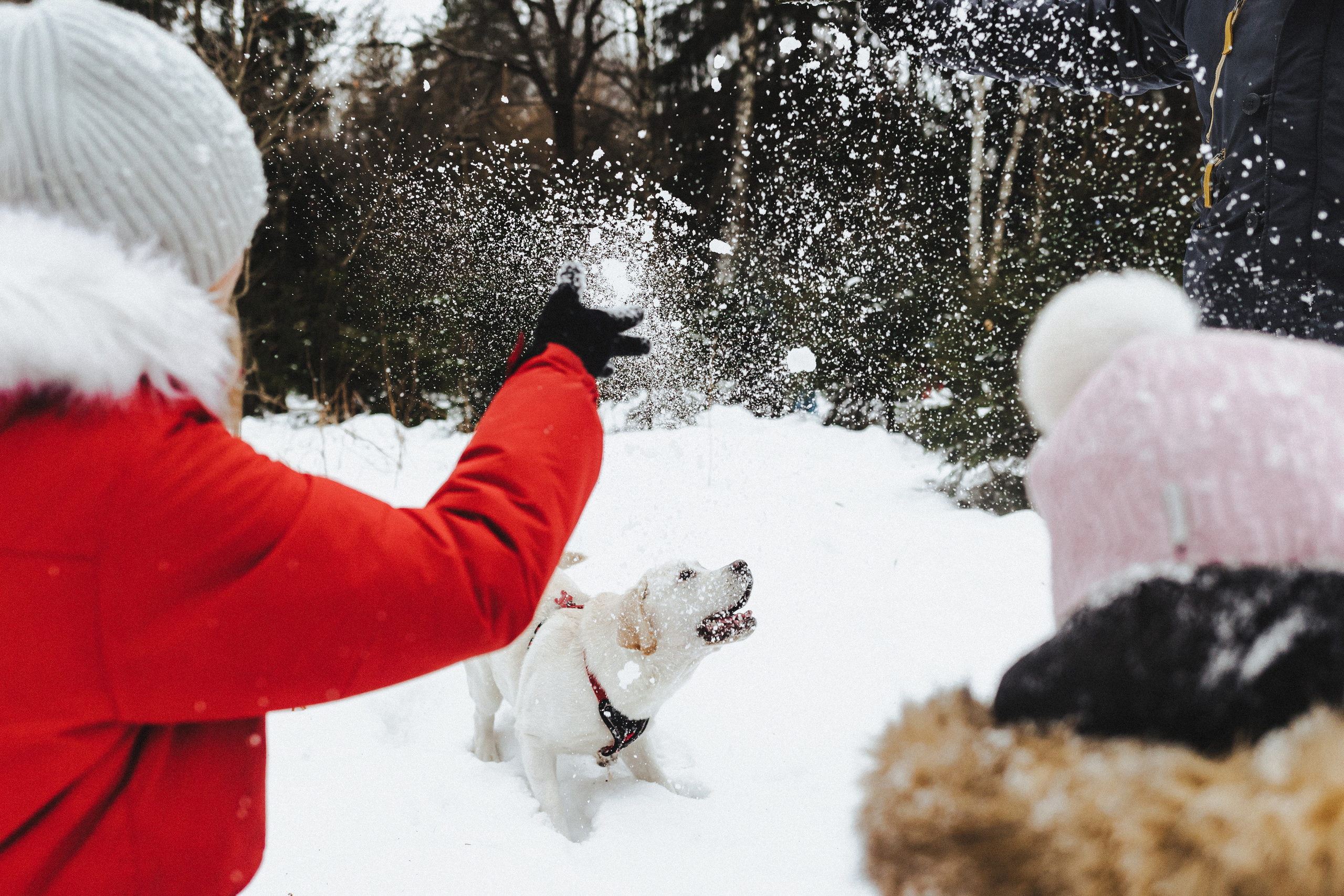 Челси и ее семья