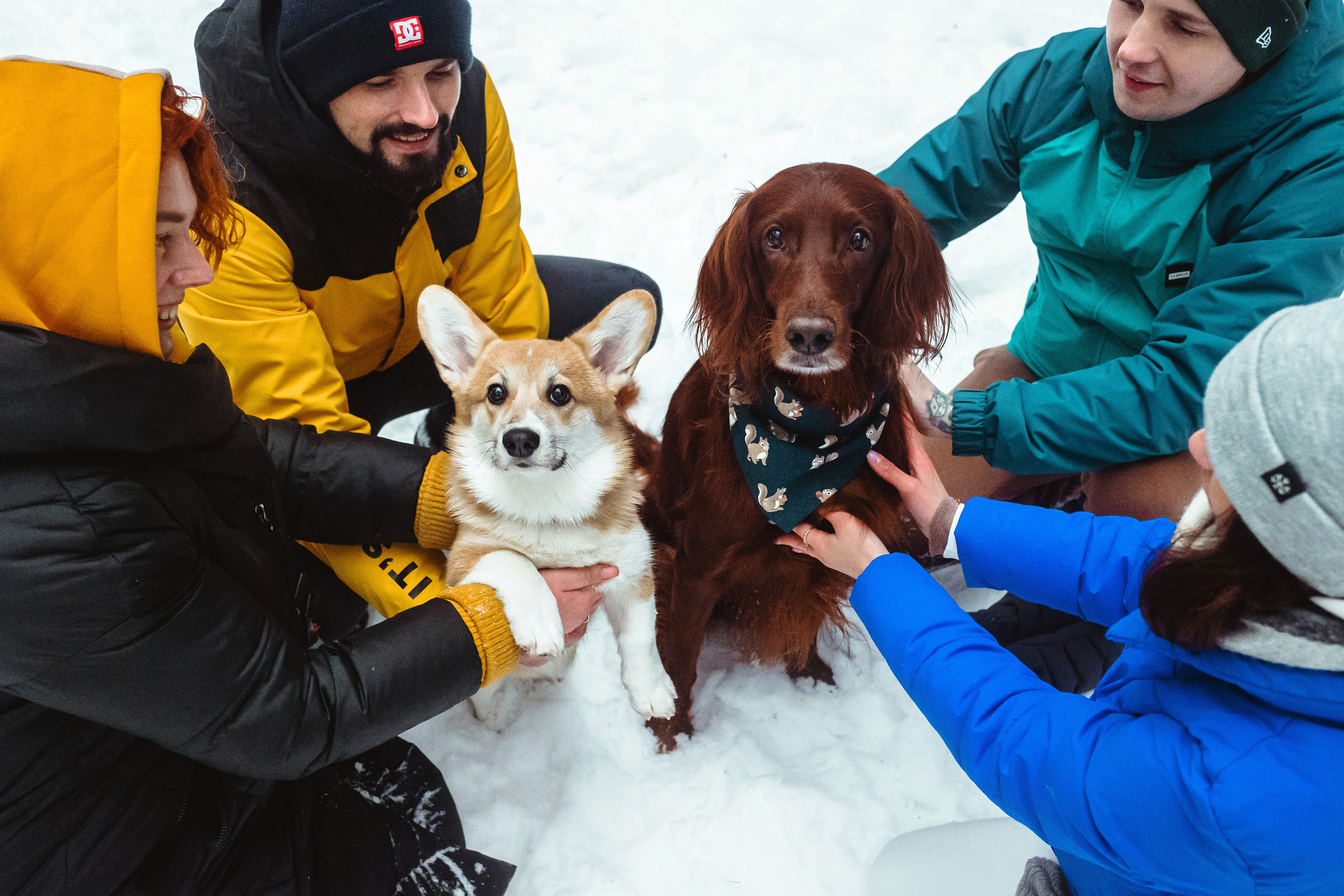 День Рождения Джерри