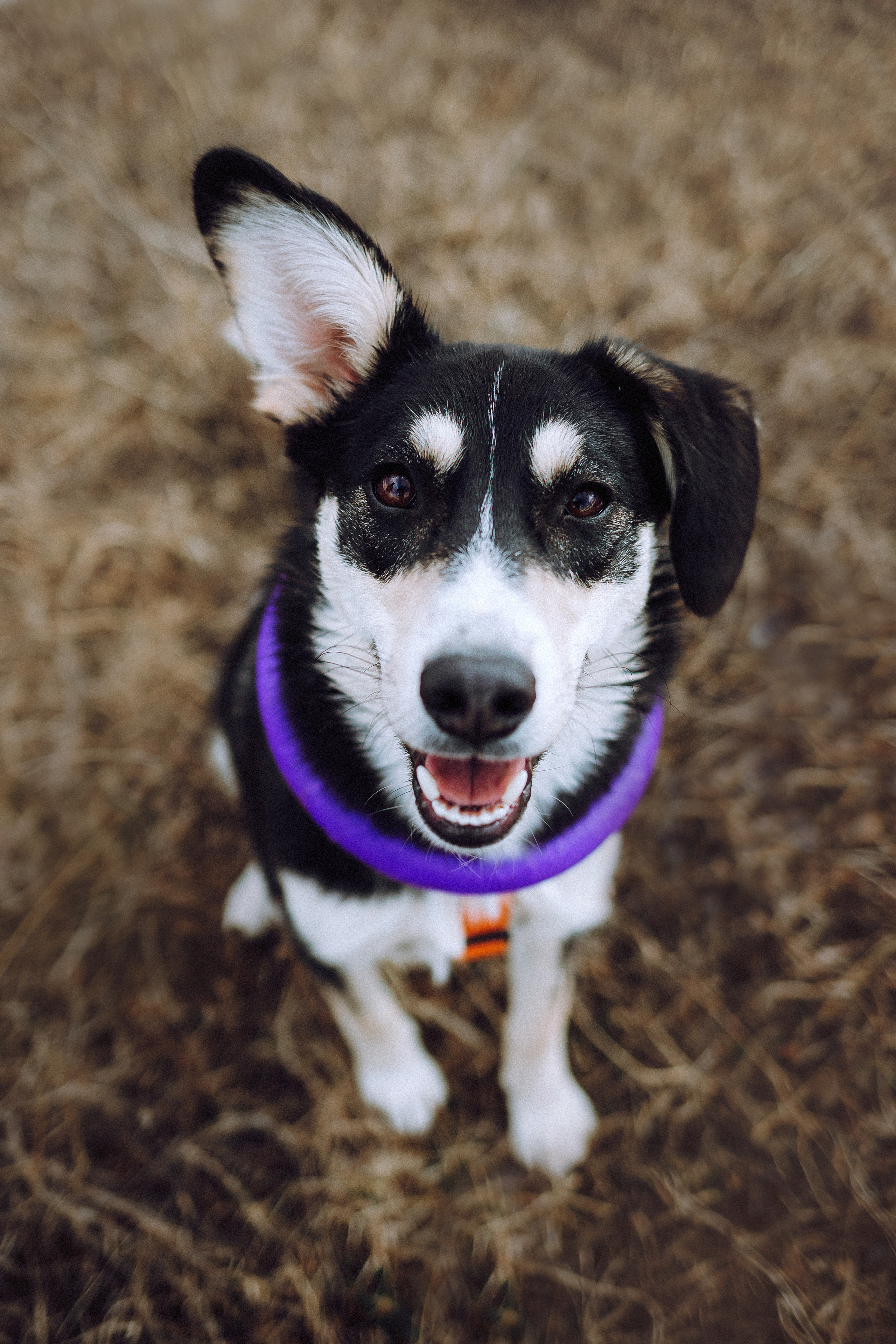 Йаррхи, Антар и их семья
