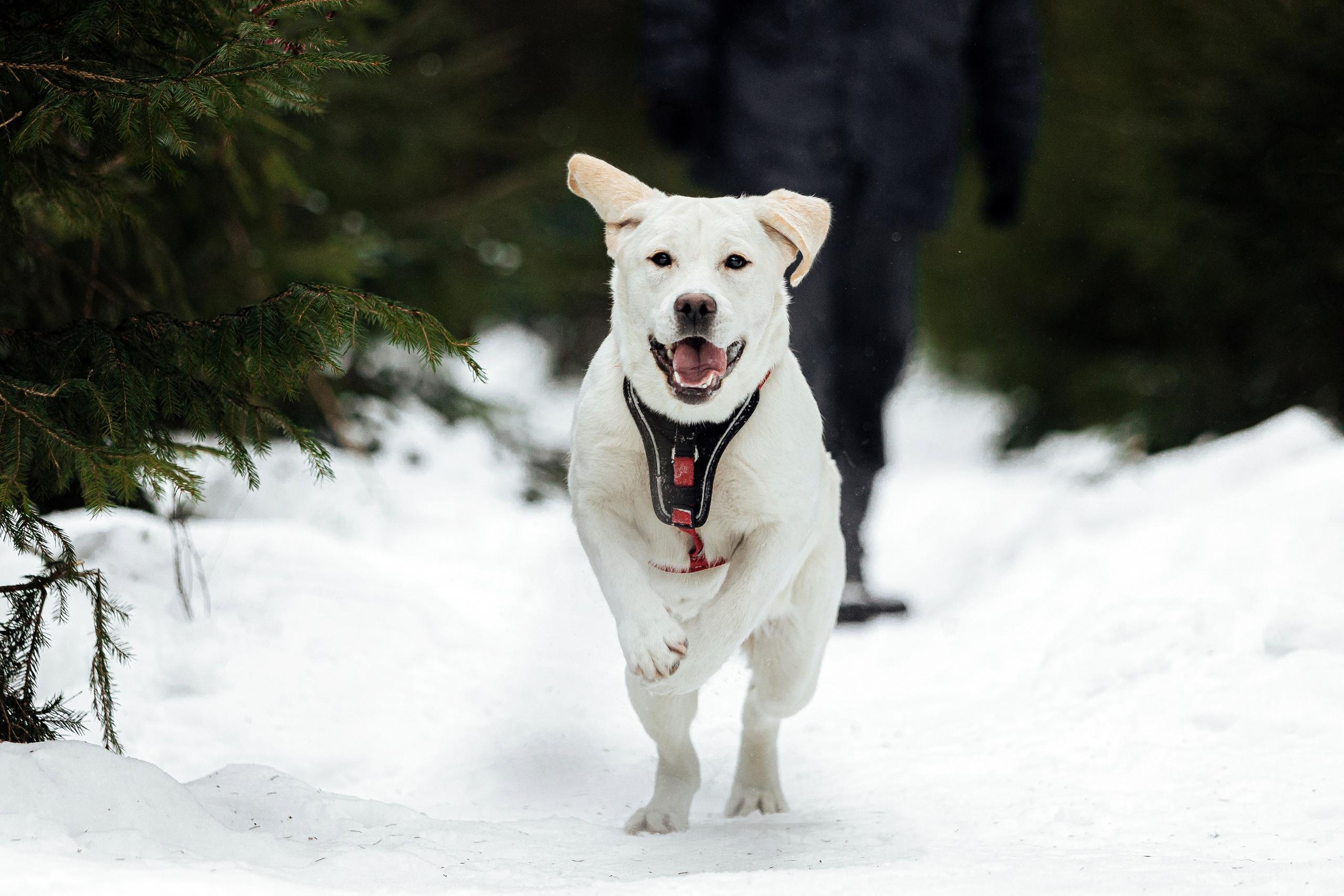 Челси и ее семья