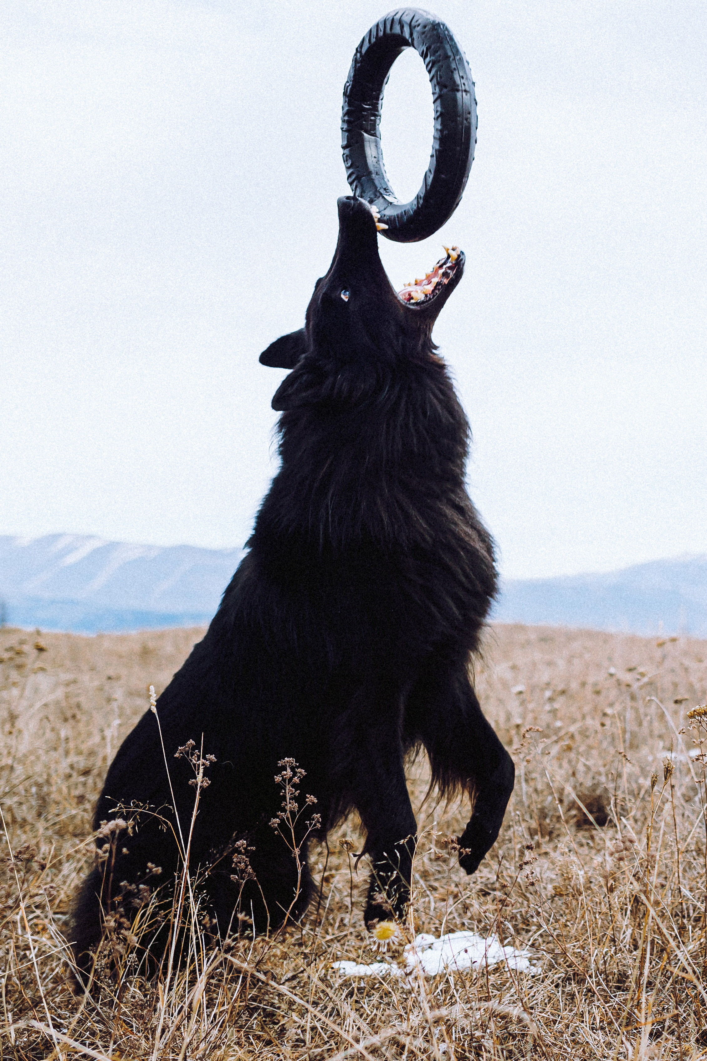 Йаррхи, Антар и их семья