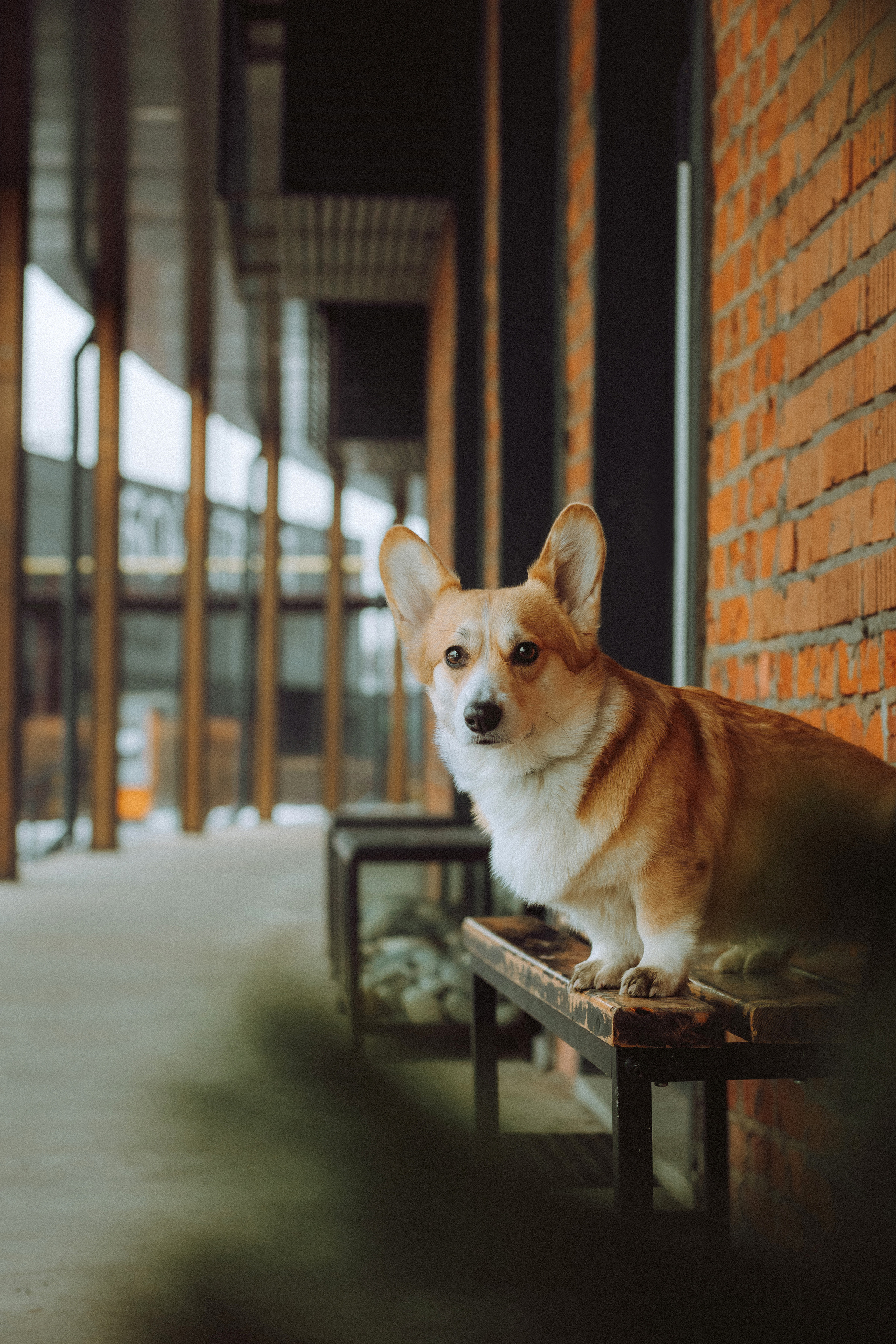 Настя и Ева