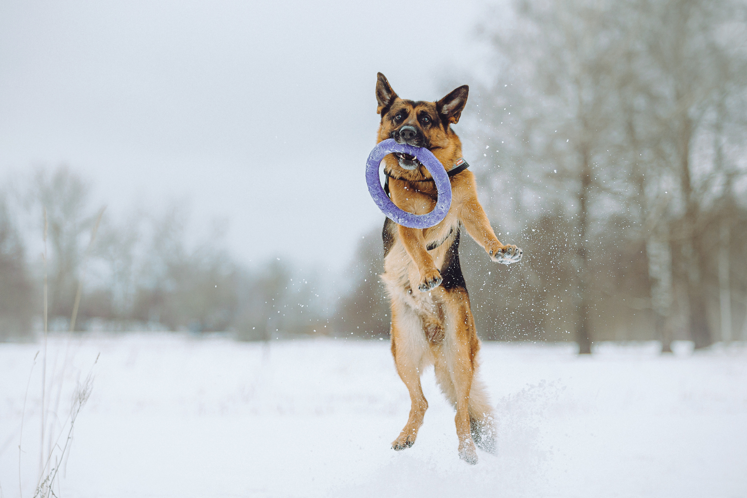 Джим, Лила и их семья
