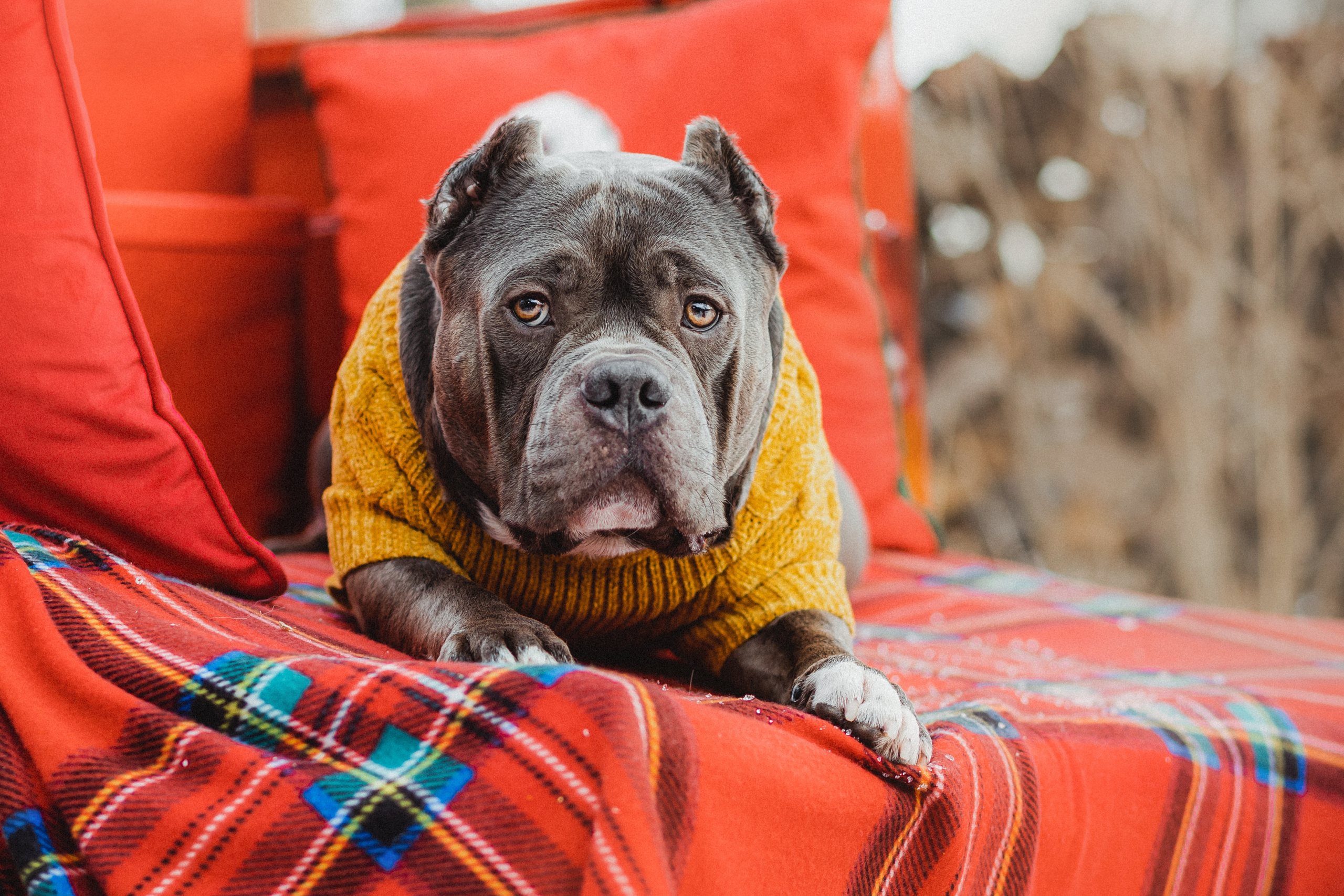 Маша и Халк