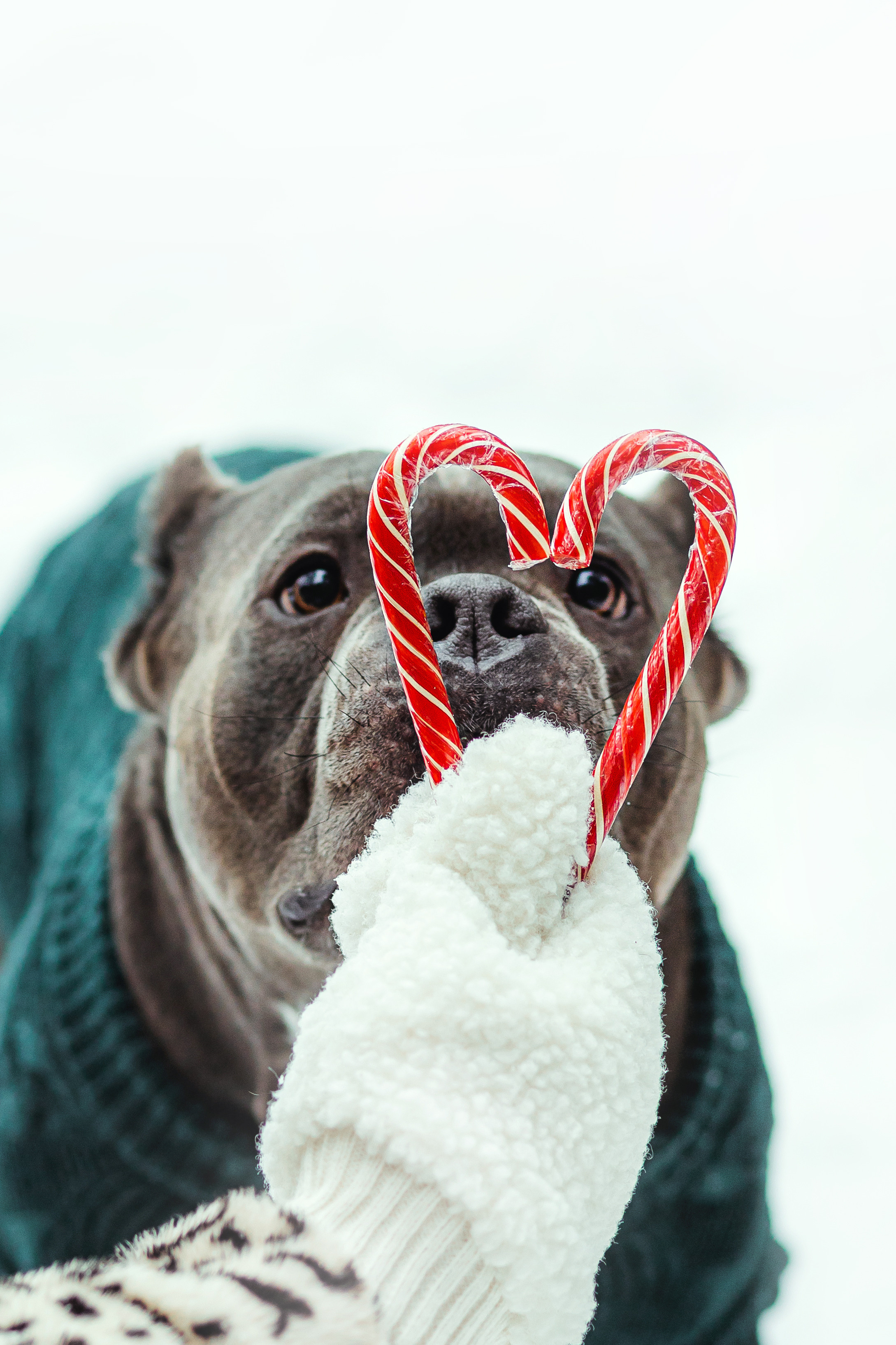 Маша и Халк