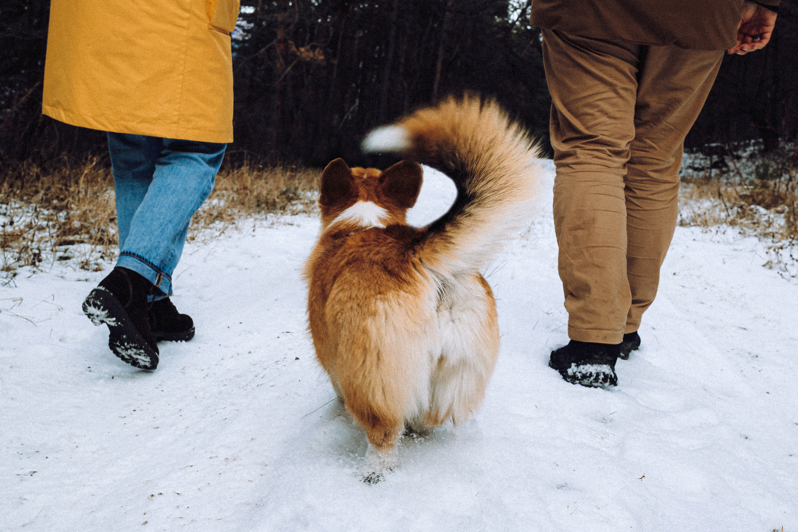 Маша, Женя и Дийкстра