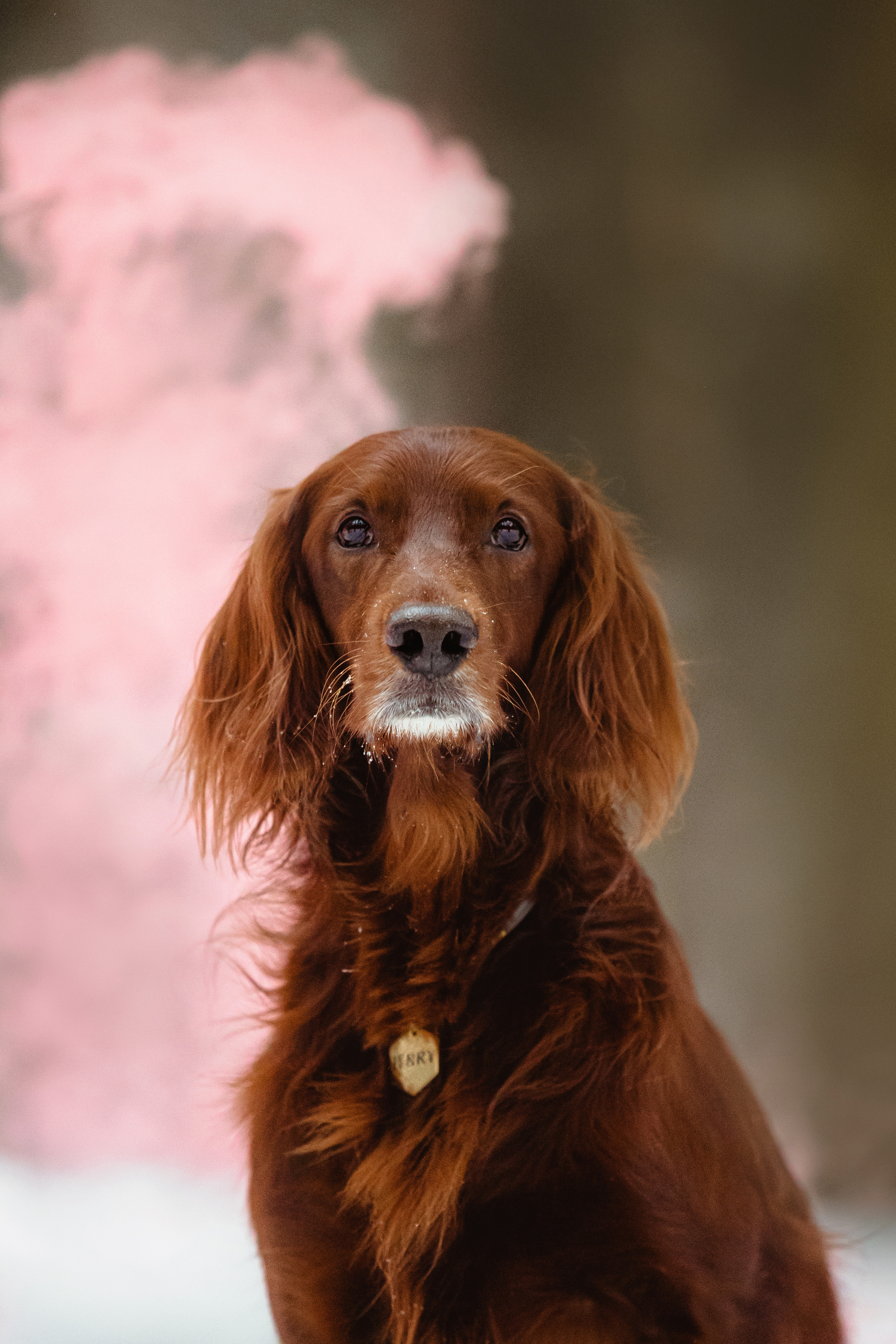 День Рождения Джерри