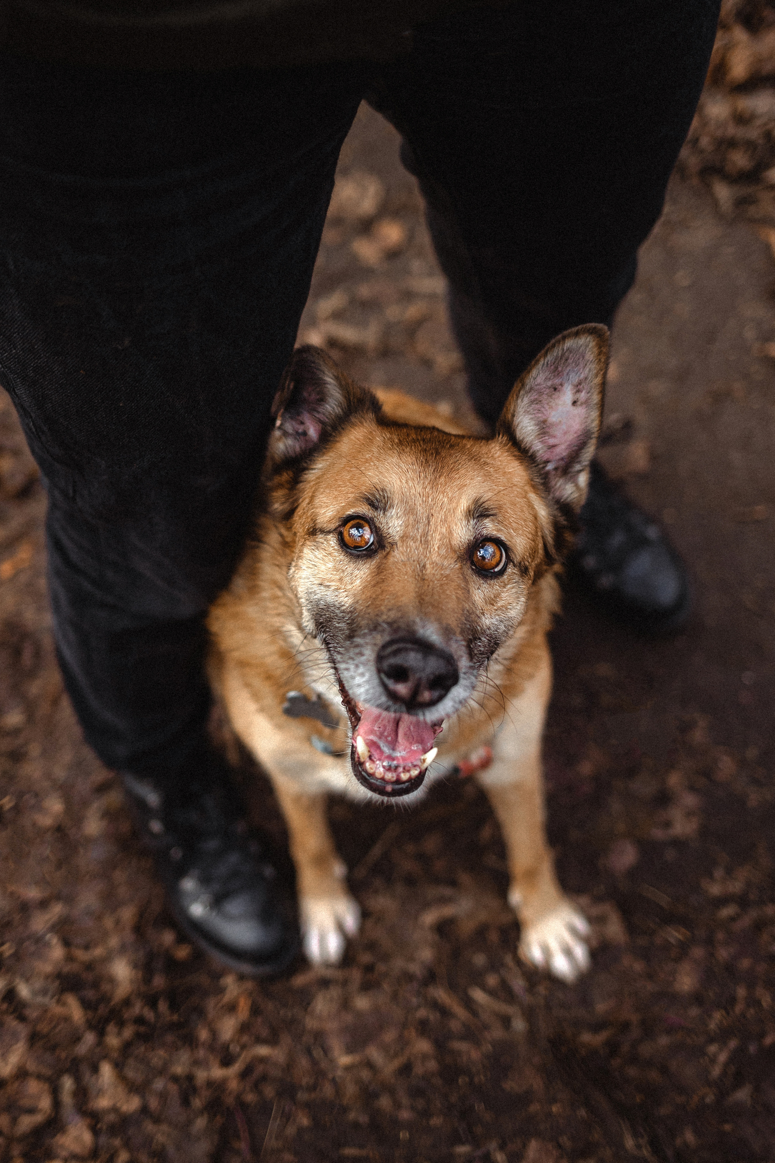 Лика и ее семья