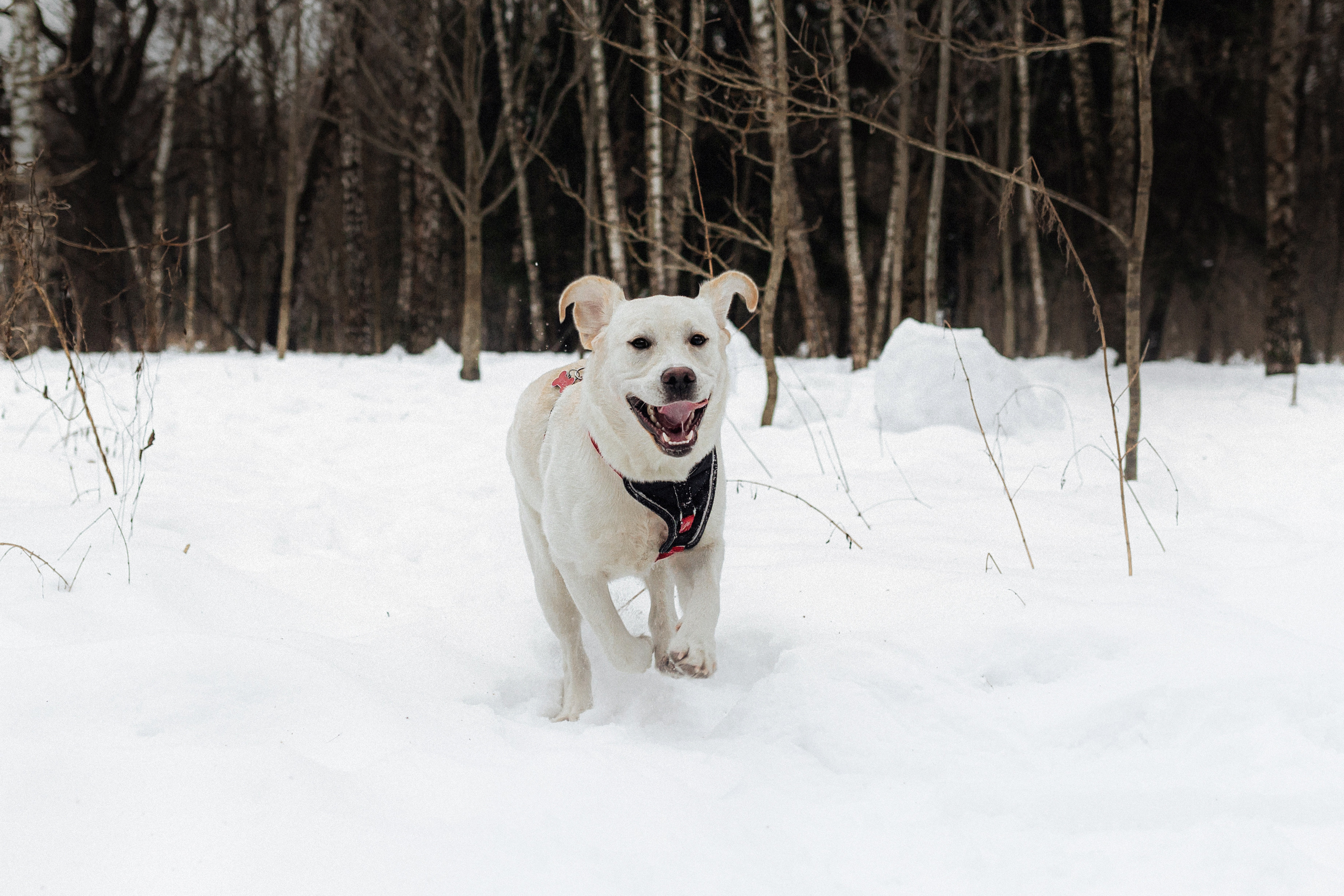 Челси и ее семья