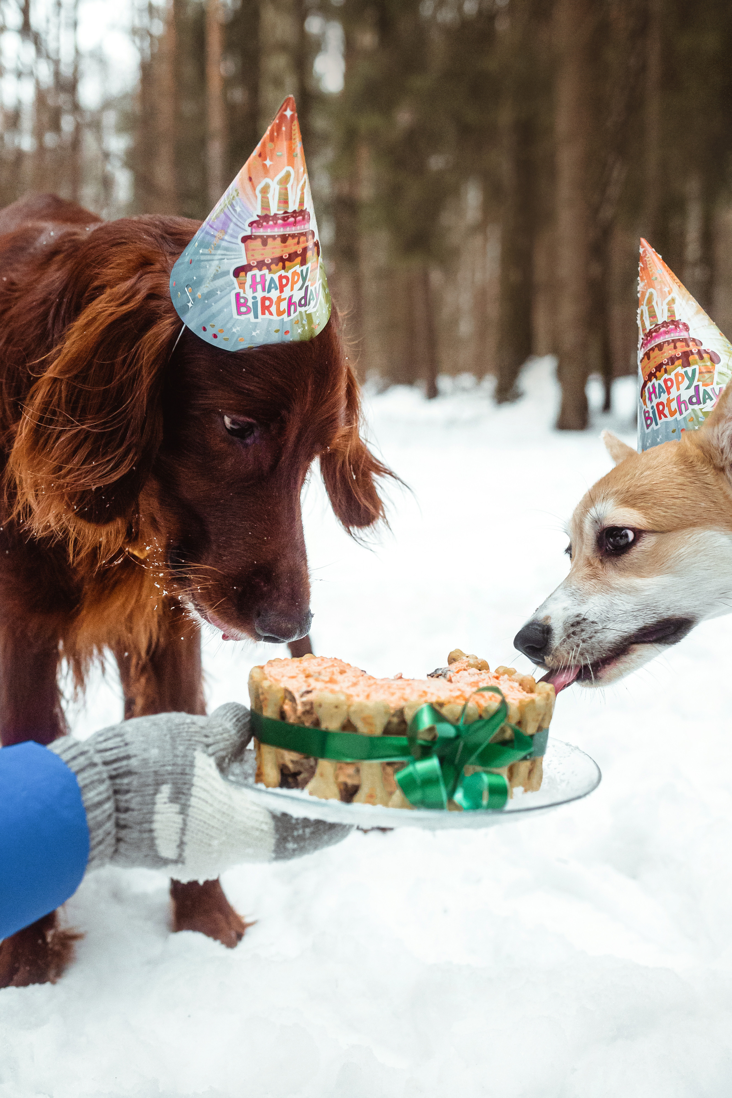 День Рождения Джерри