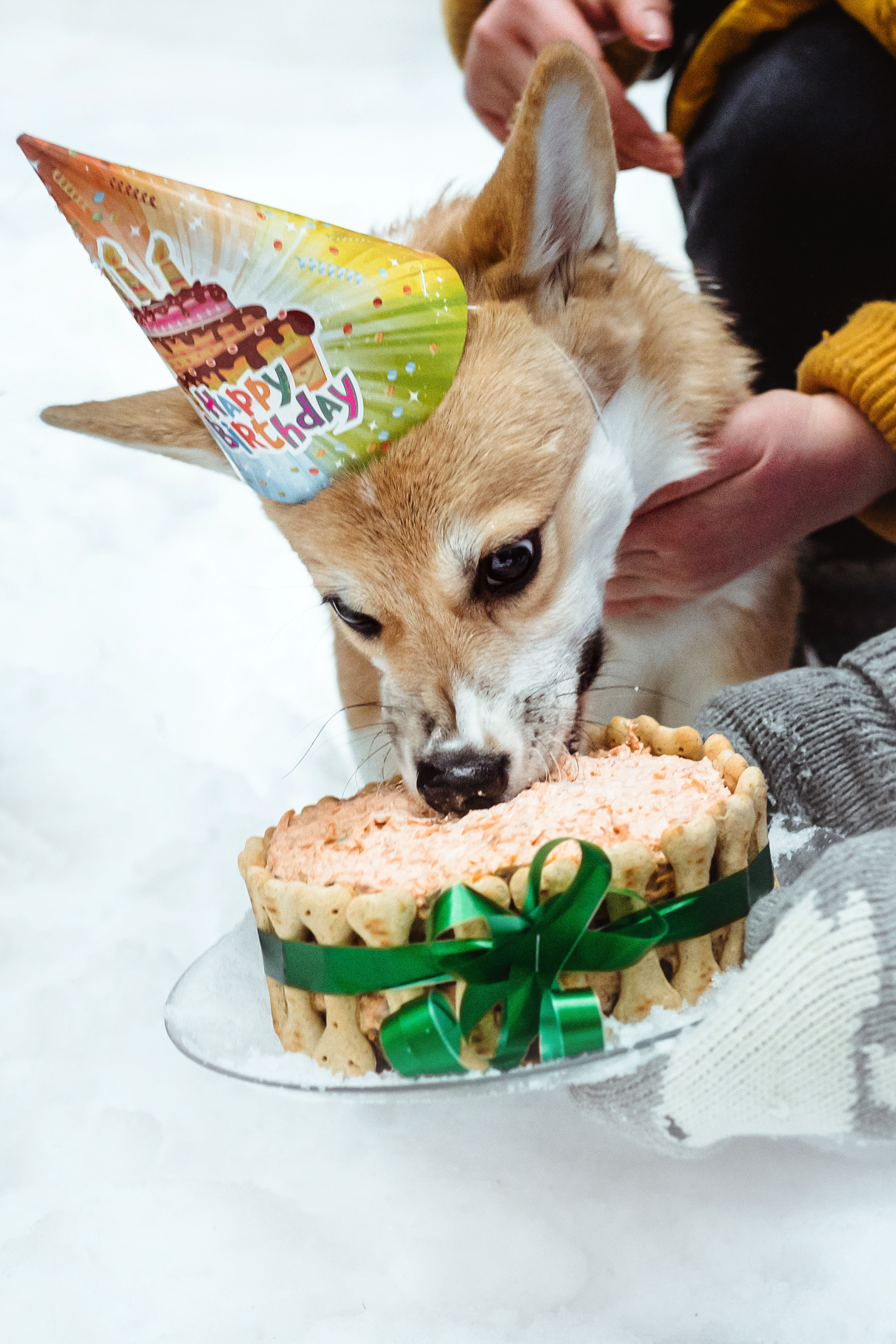 День Рождения Джерри