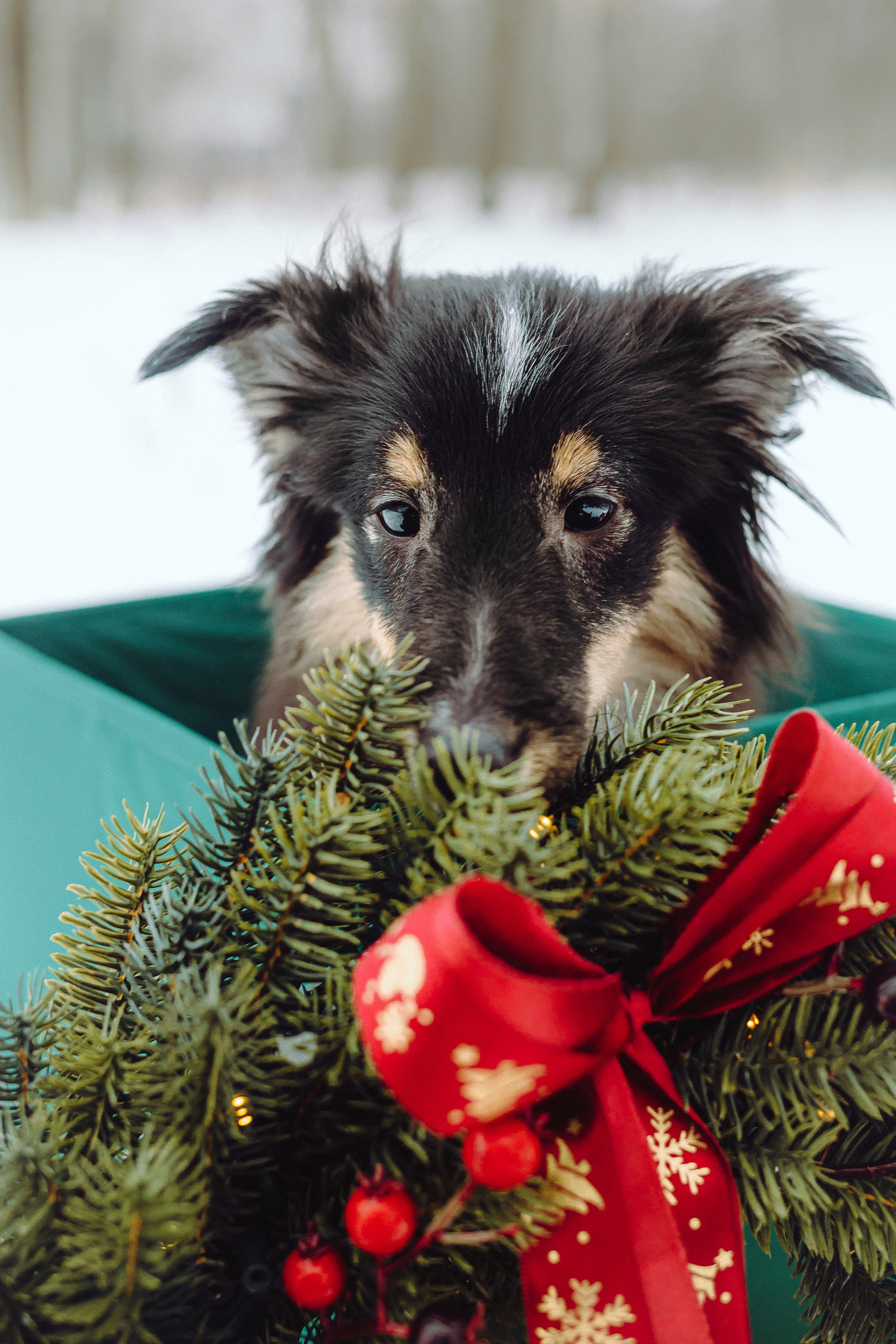 Джим, Лила и их семья