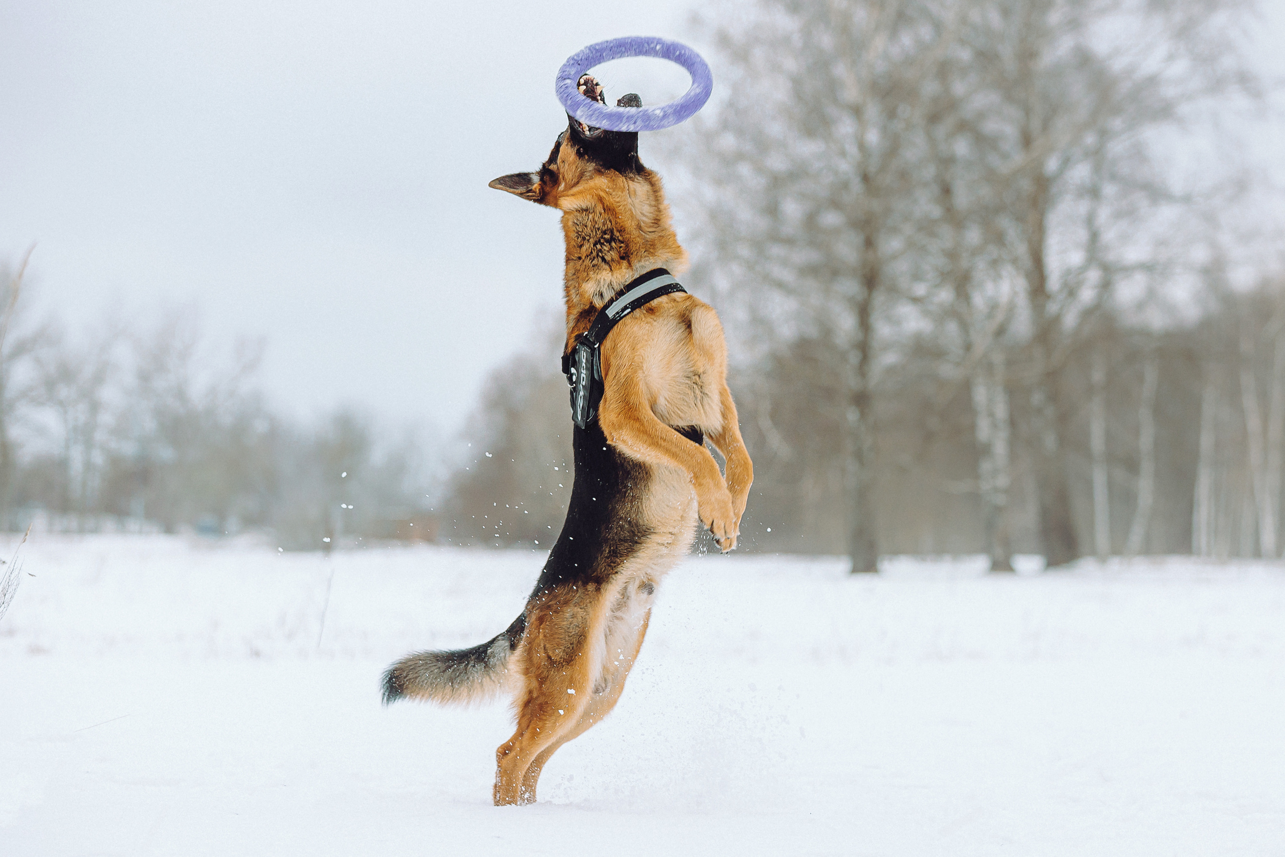 Джим, Лила и их семья