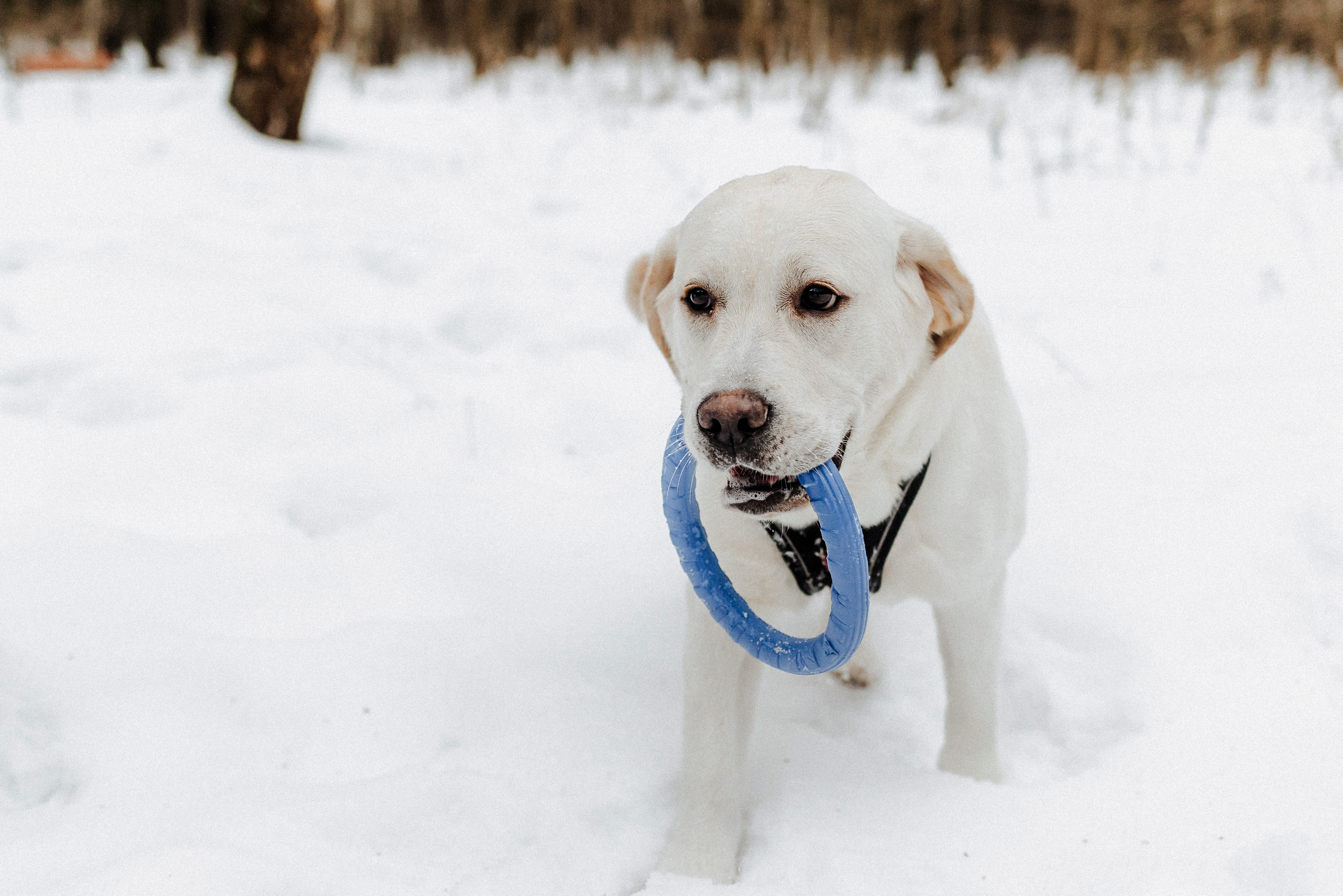Челси и ее семья