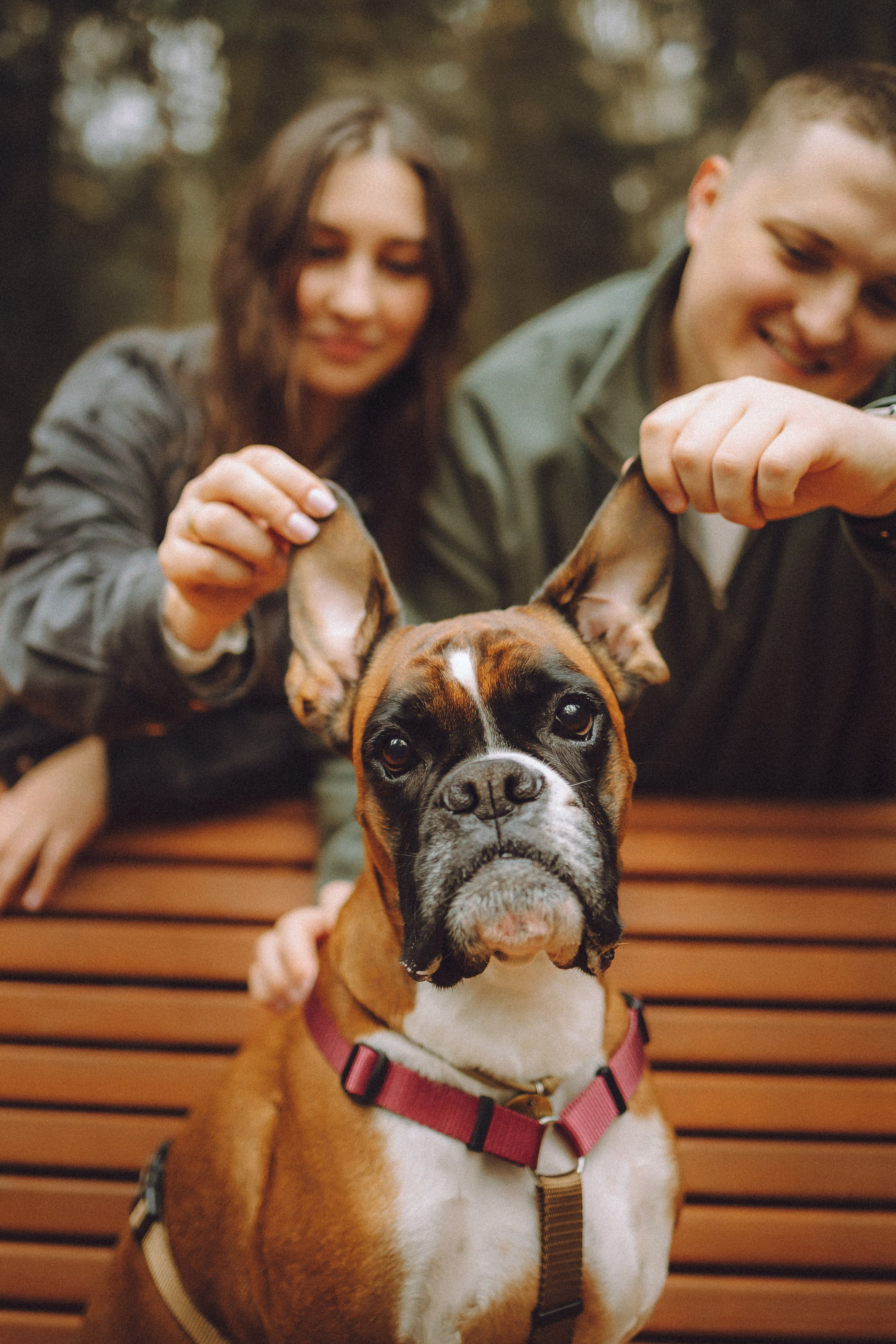 Элли и ее семья