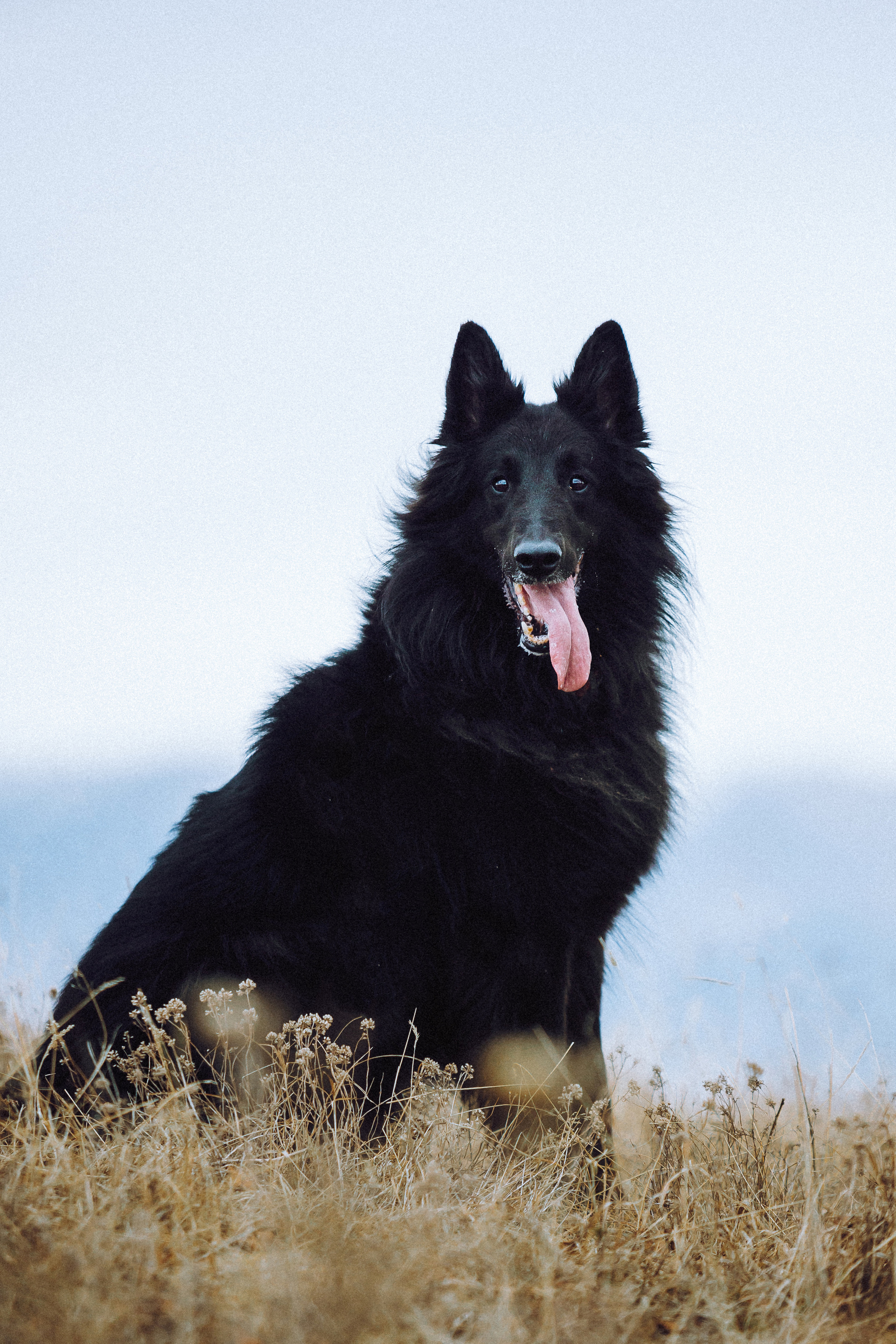 Йаррхи, Антар и их семья
