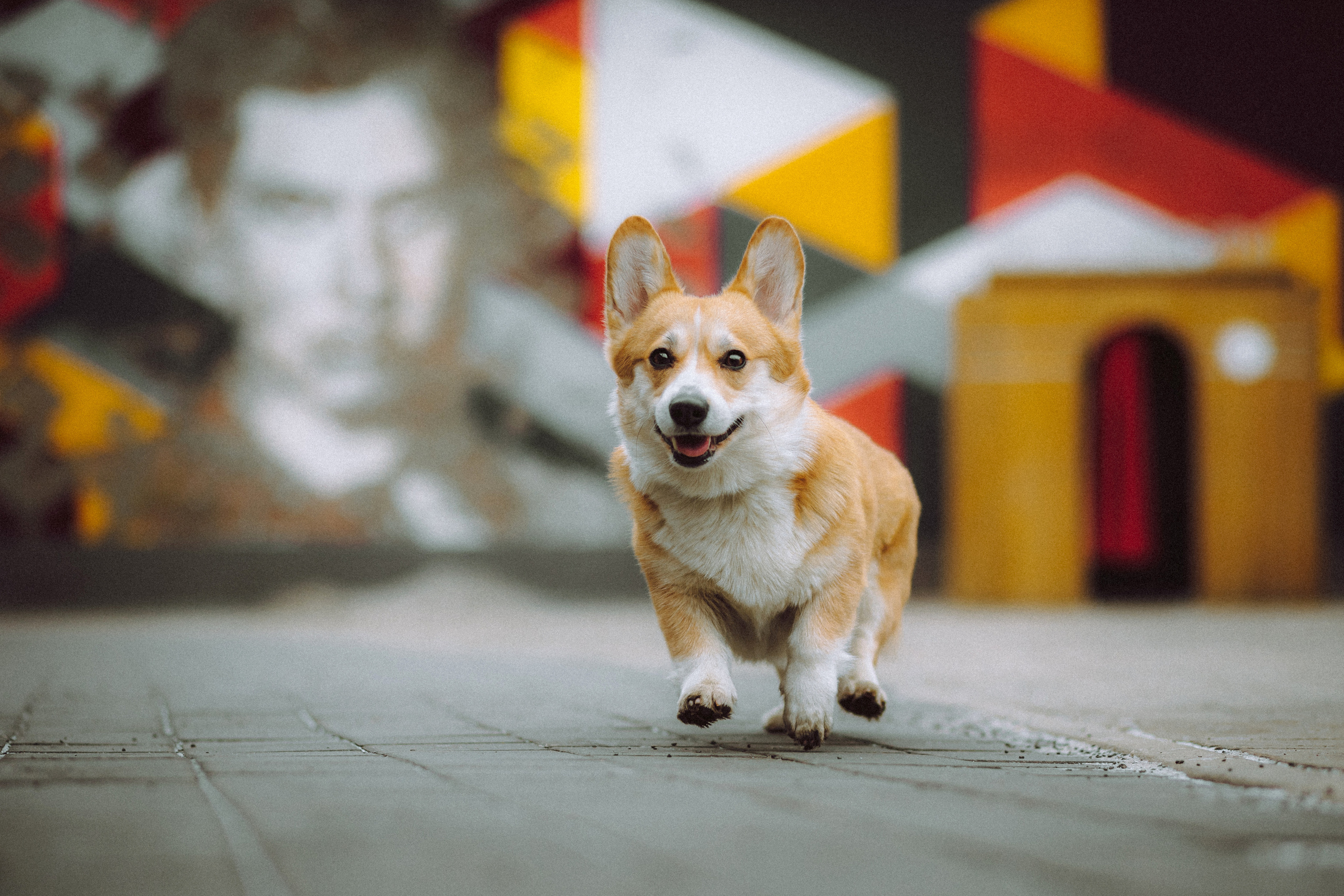 Настя и Ева