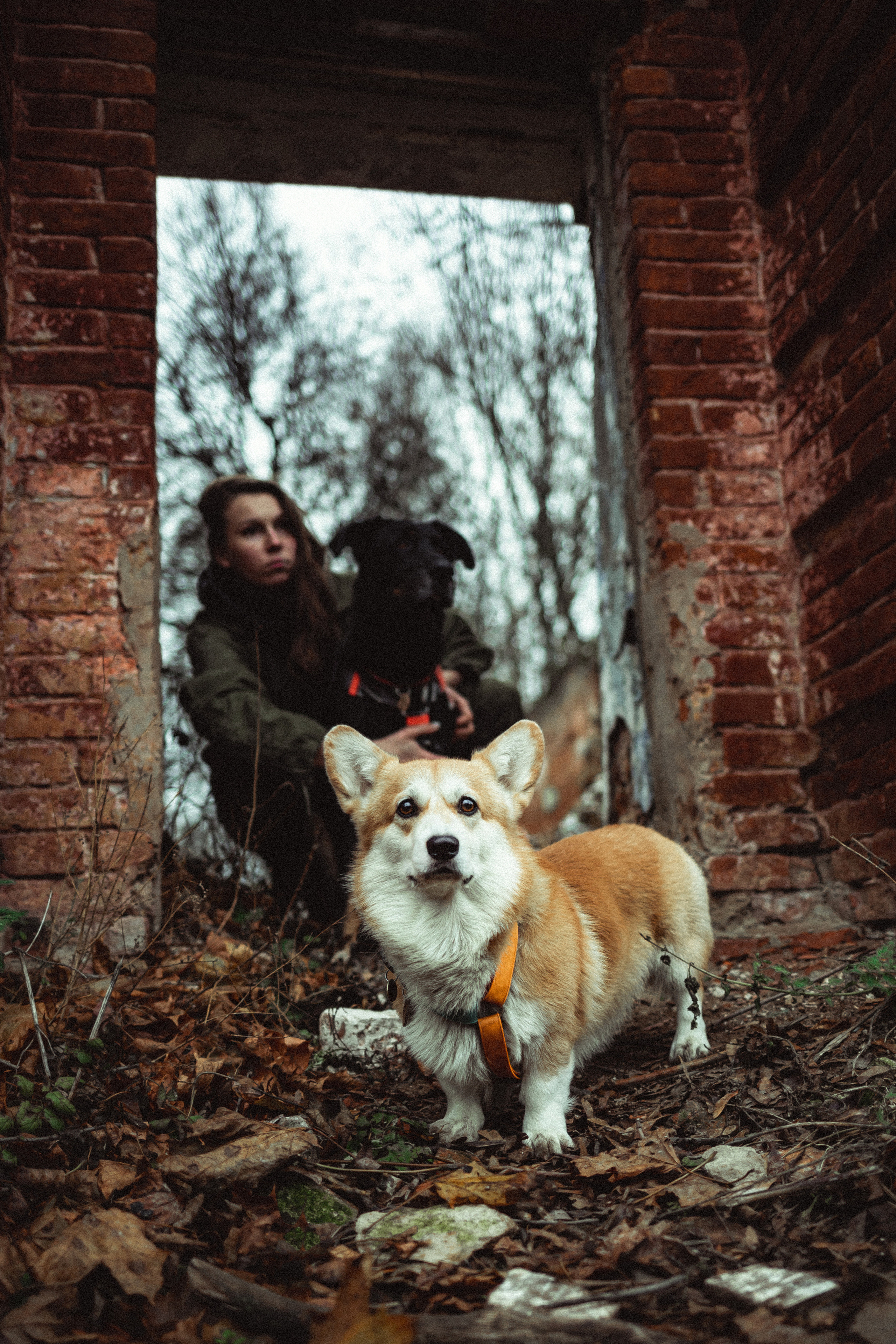 Алена, Фелек и Камю