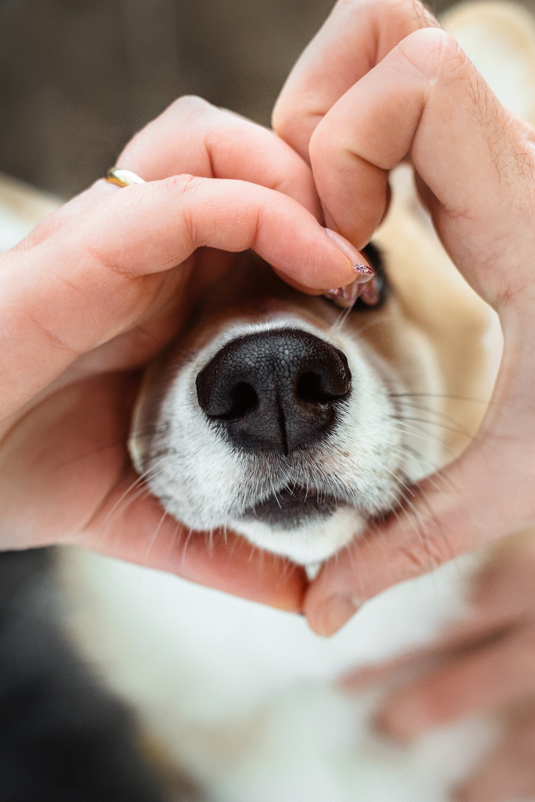 День Рождения Джерри