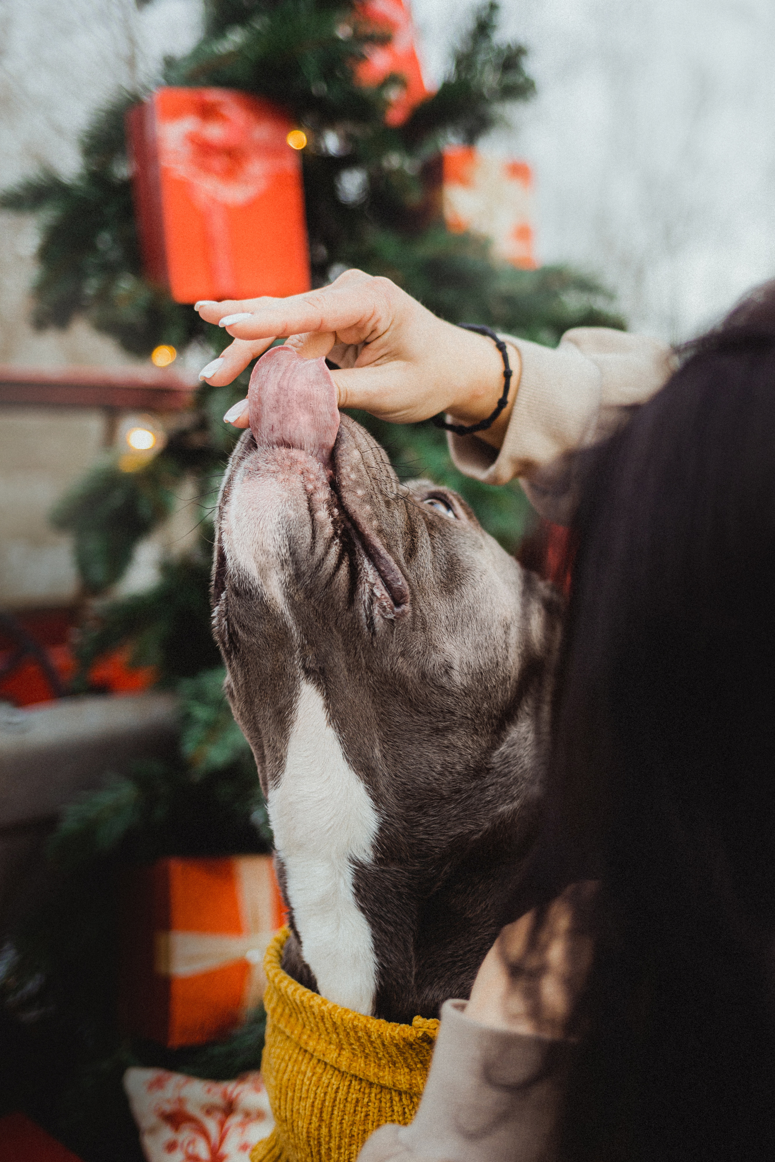 Маша и Халк