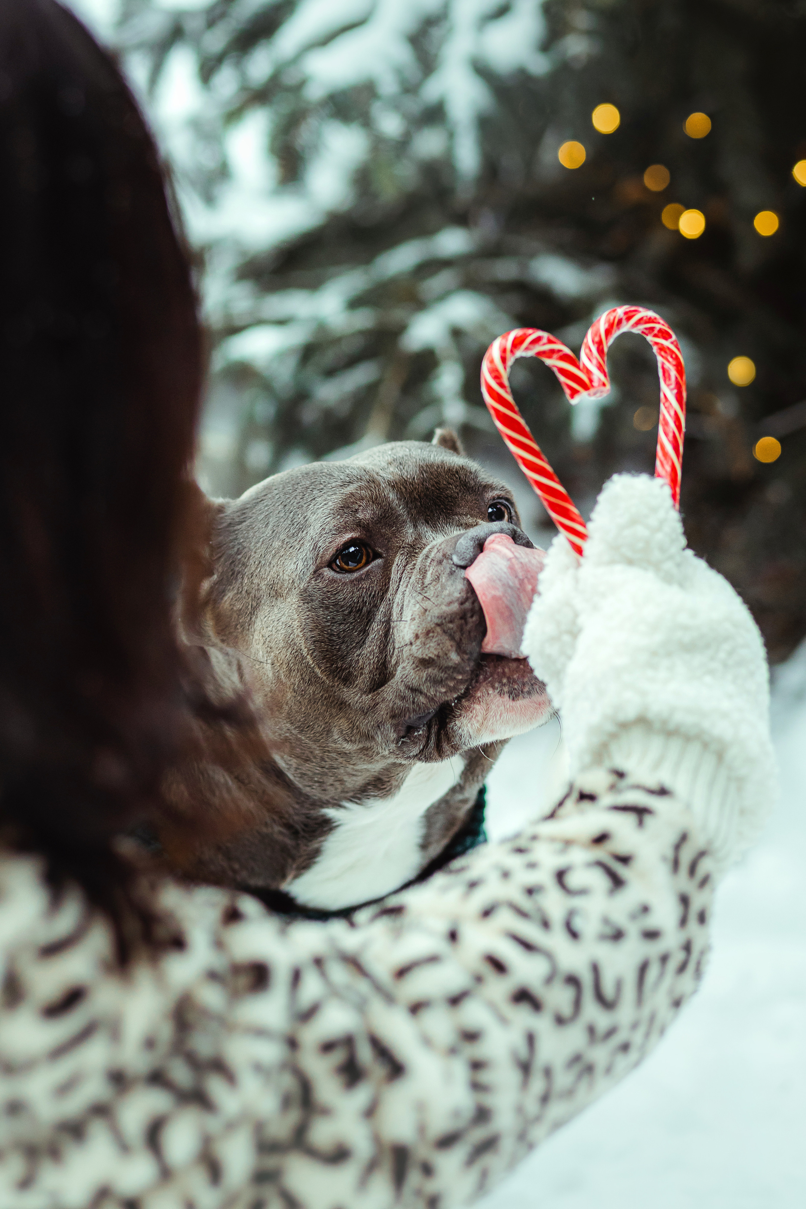 Маша и Халк