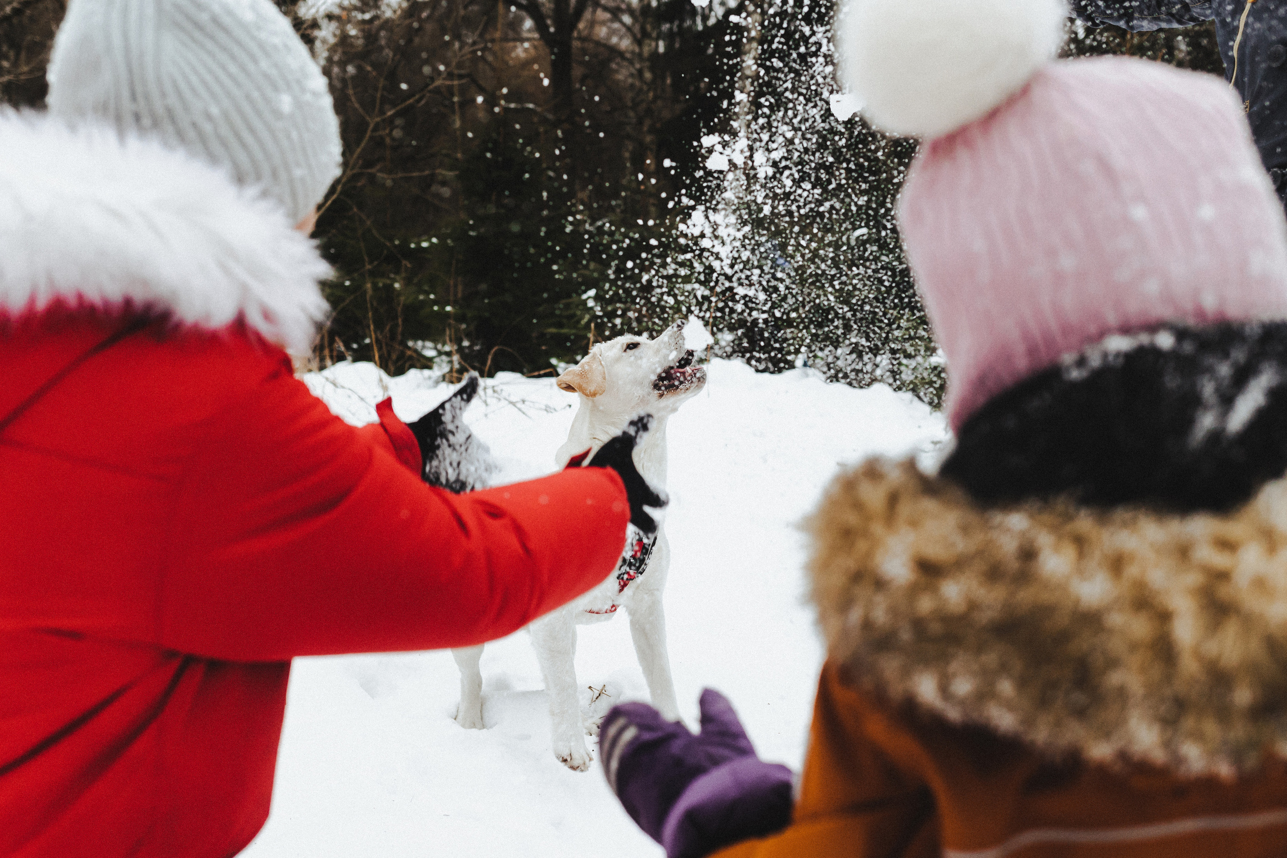 Челси и ее семья