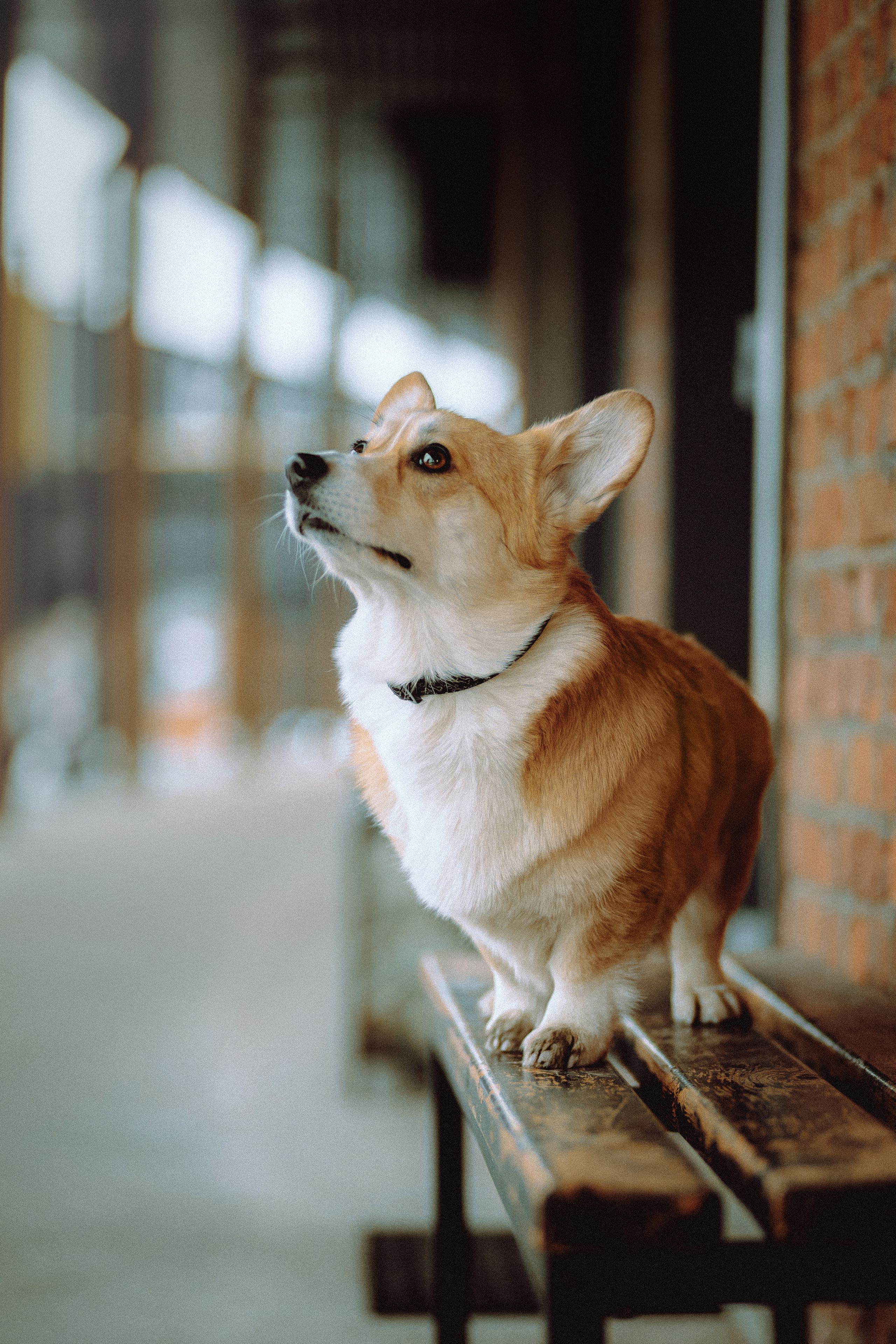 Настя и Ева