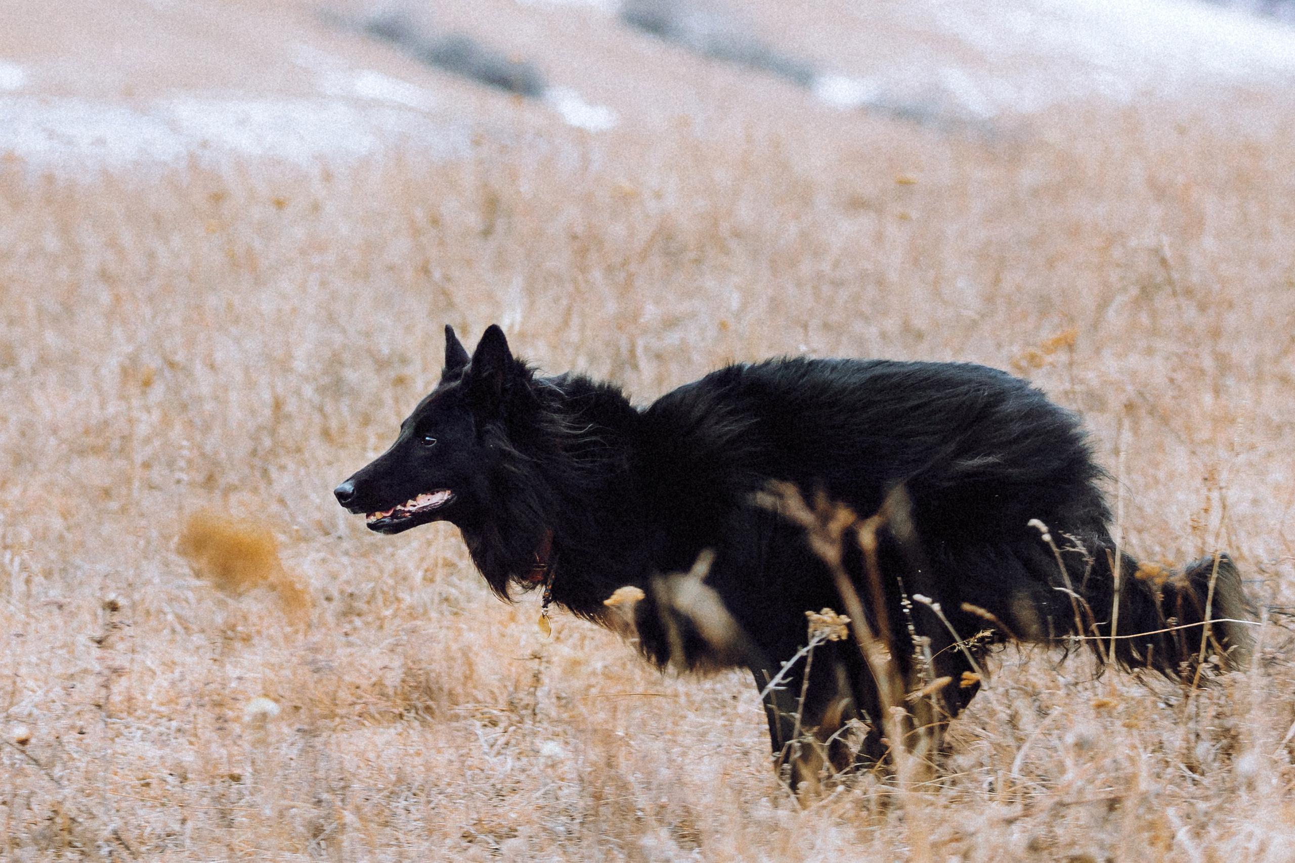Йаррхи, Антар и их семья