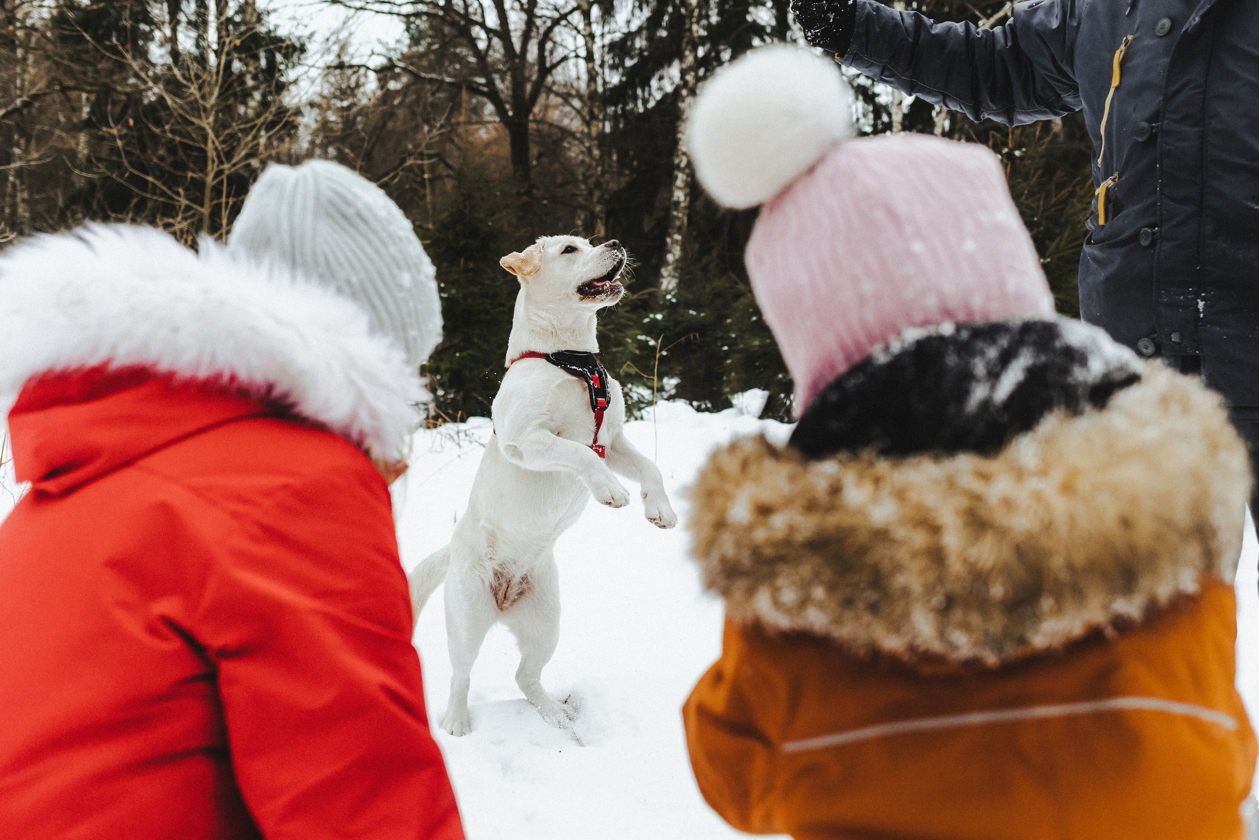 Челси и ее семья
