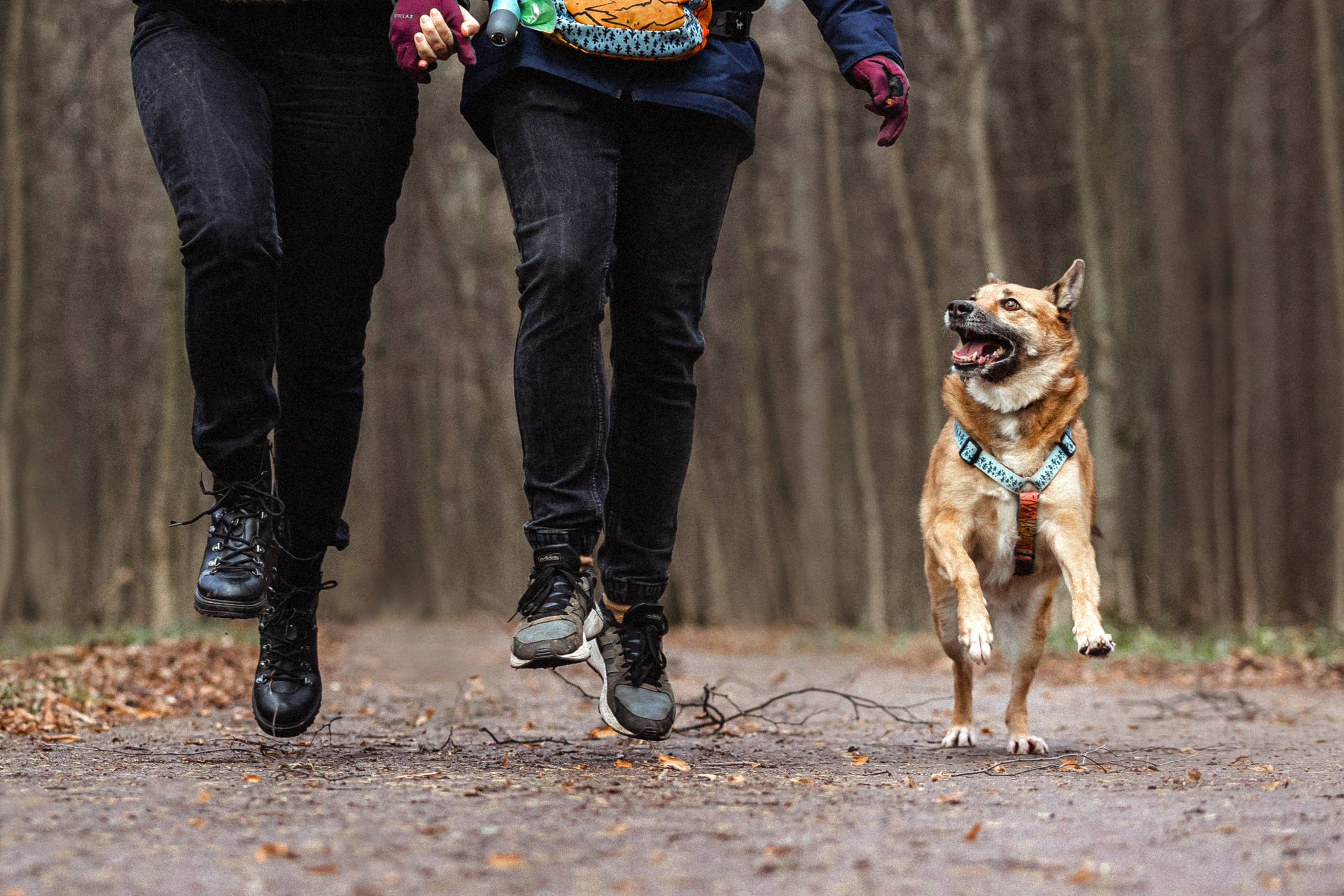 Лика и ее семья