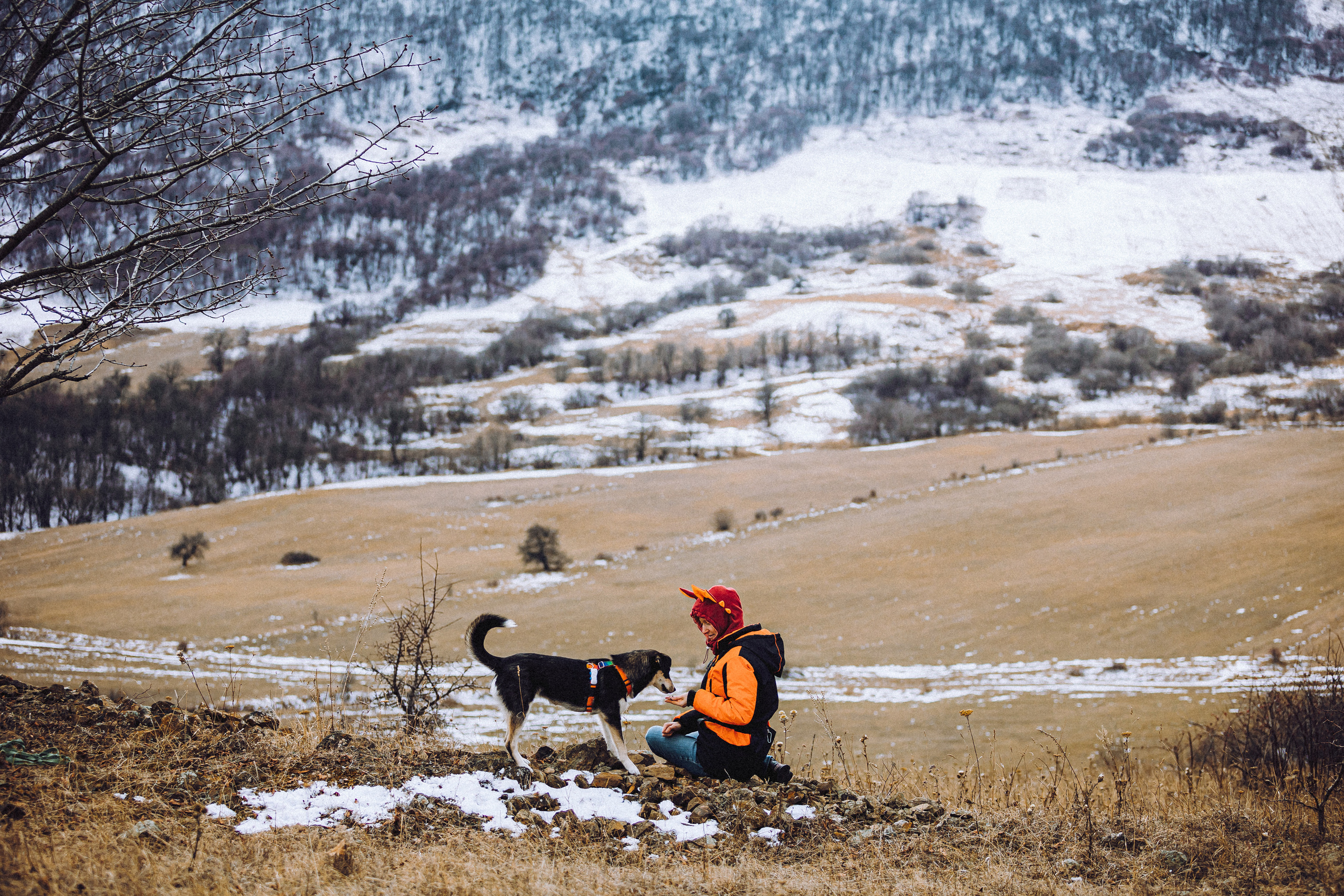 Йаррхи, Антар и их семья