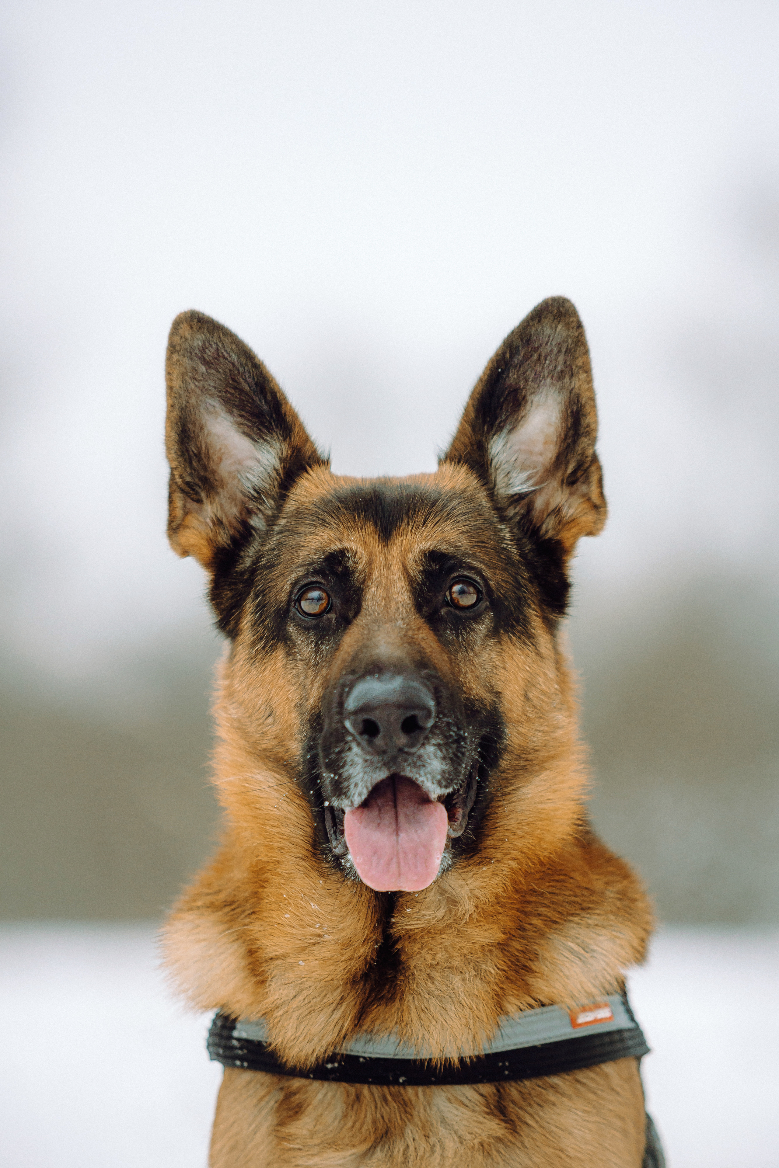 Джим, Лила и их семья