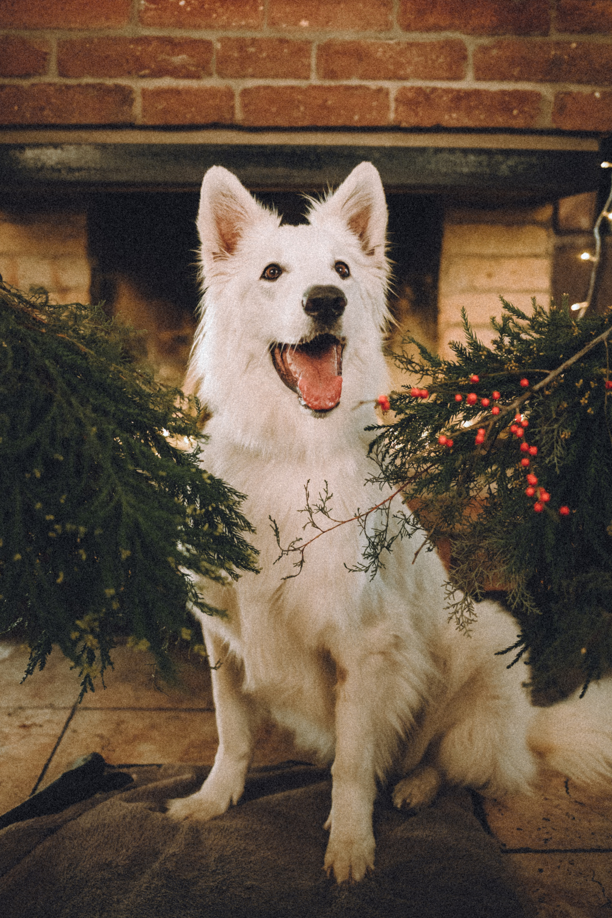 Оля, Саша и Юки