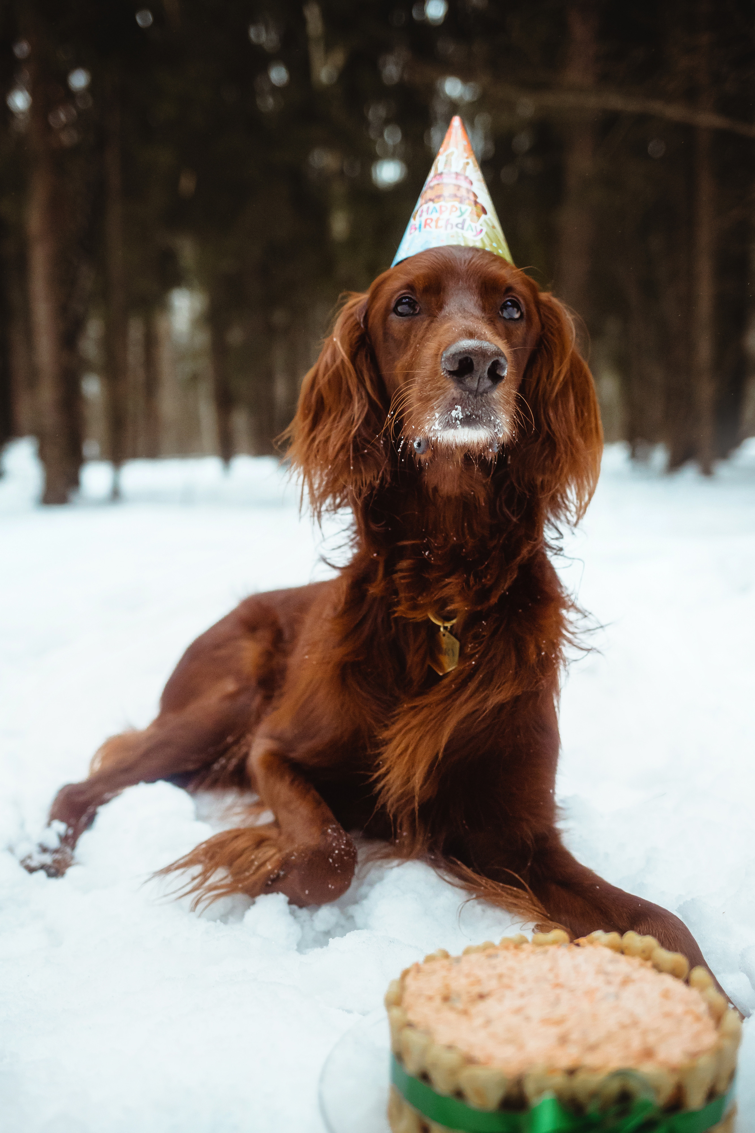 День Рождения Джерри