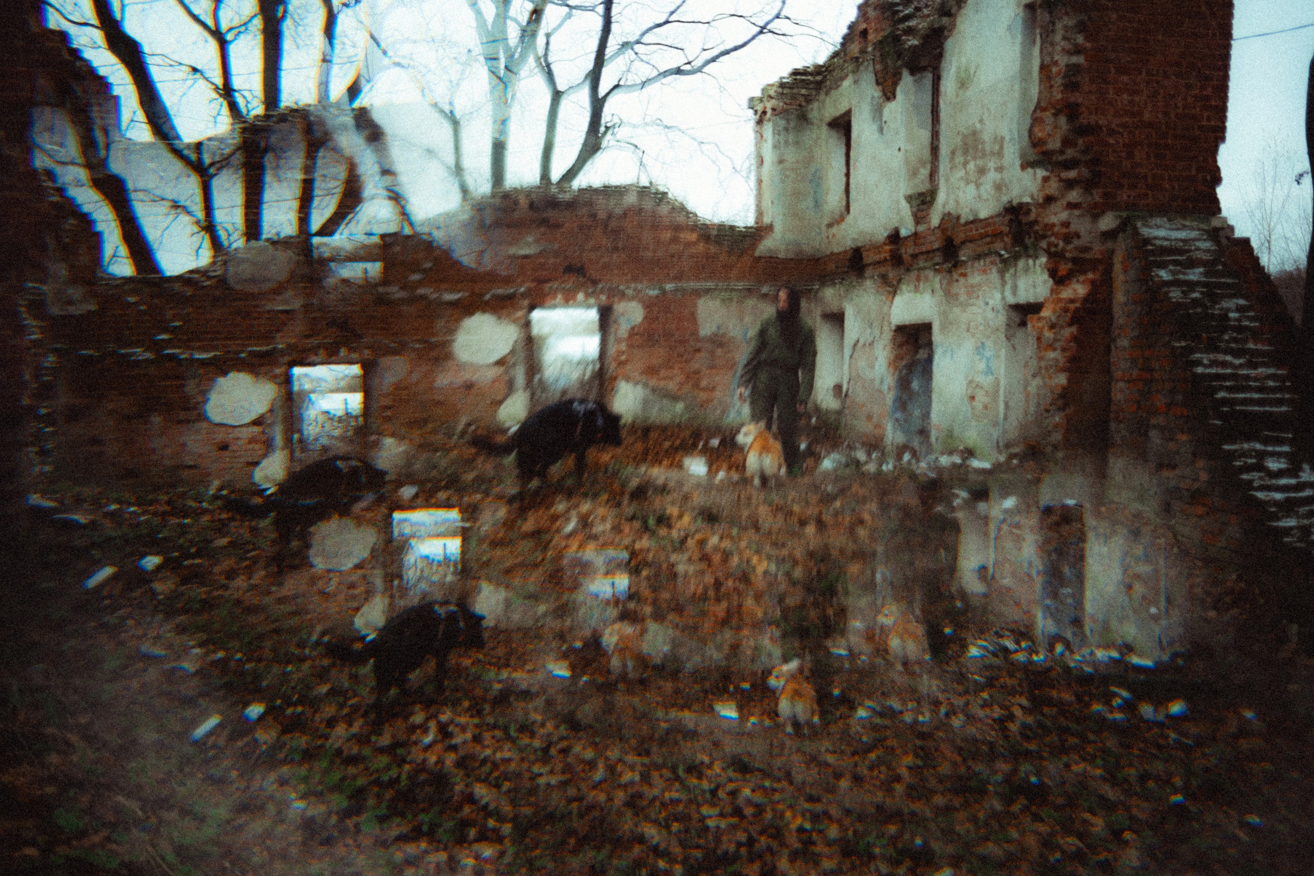 Алена, Фелек и Камю