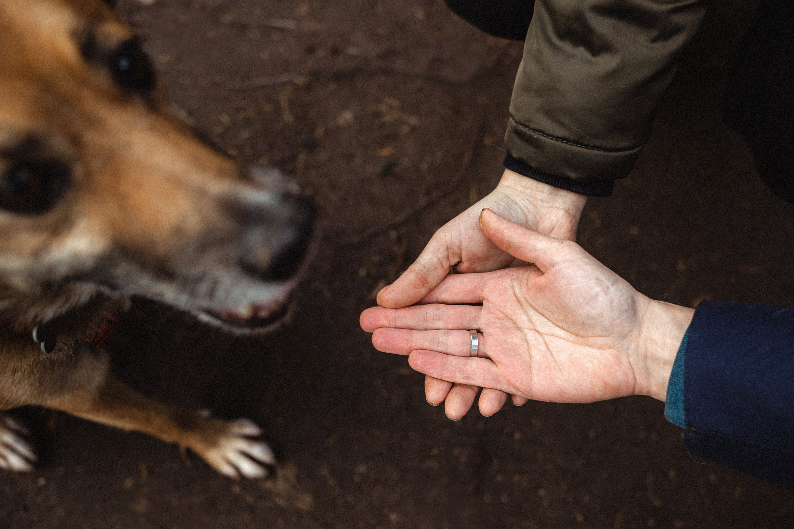 Лика и ее семья