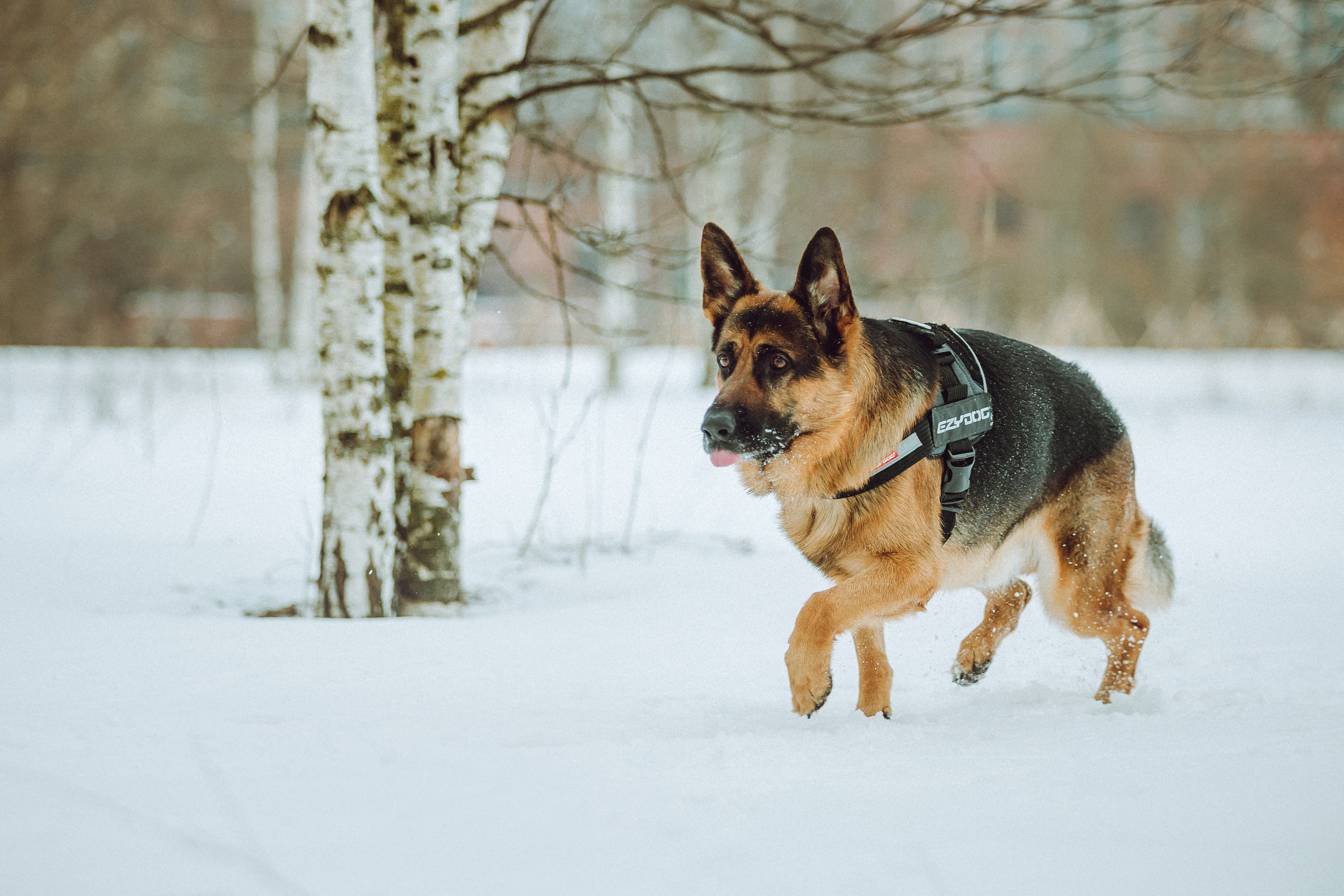 Джим, Лила и их семья