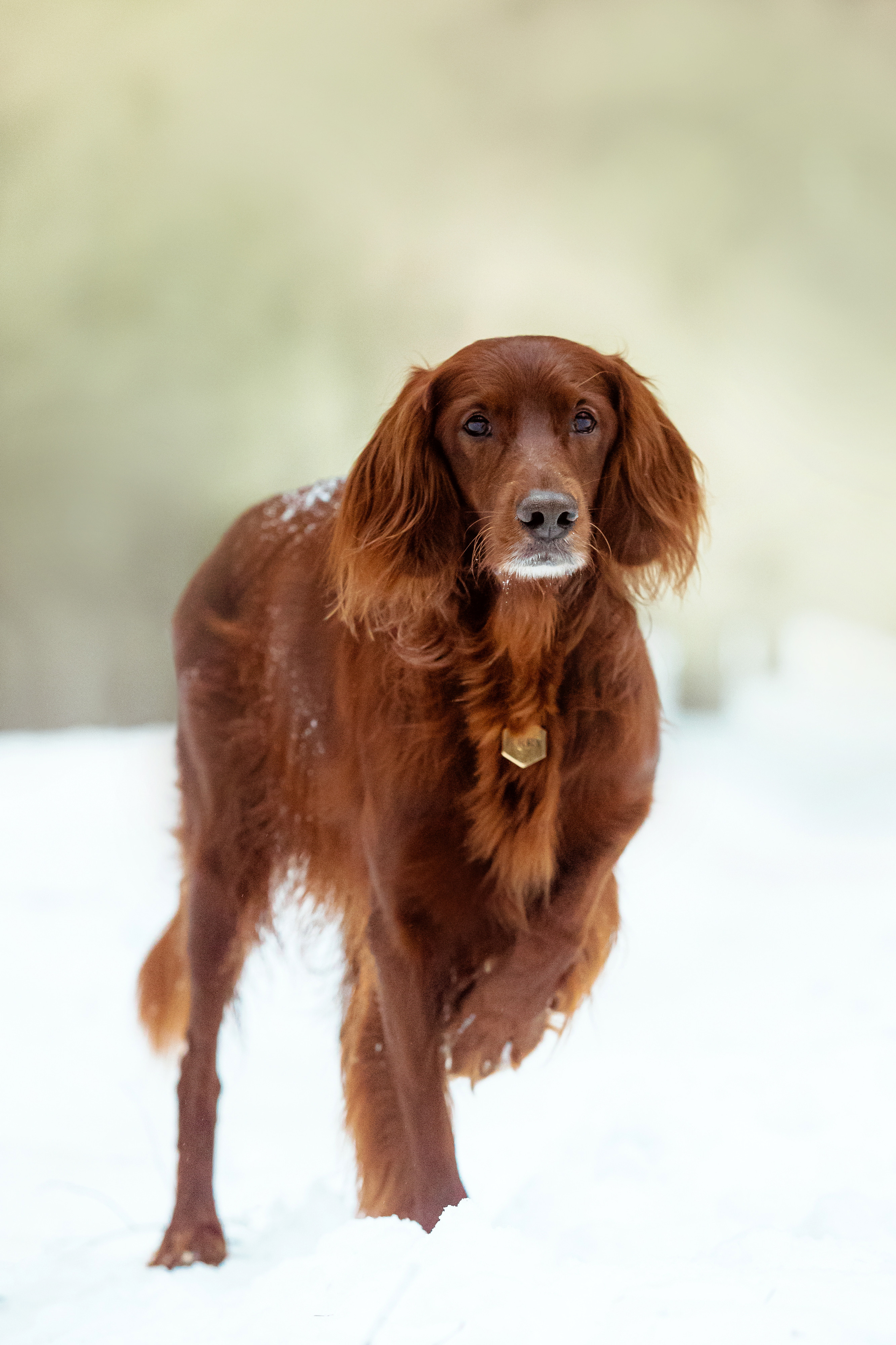 День Рождения Джерри