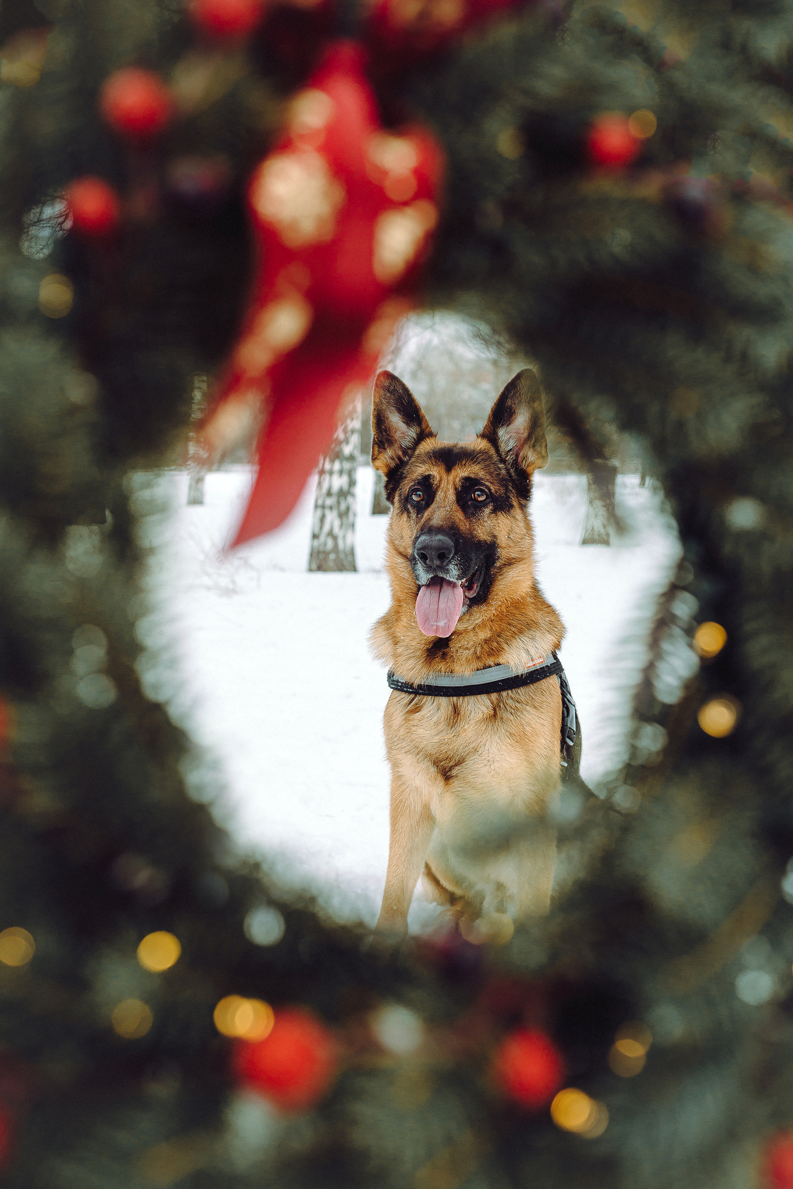 Джим, Лила и их семья